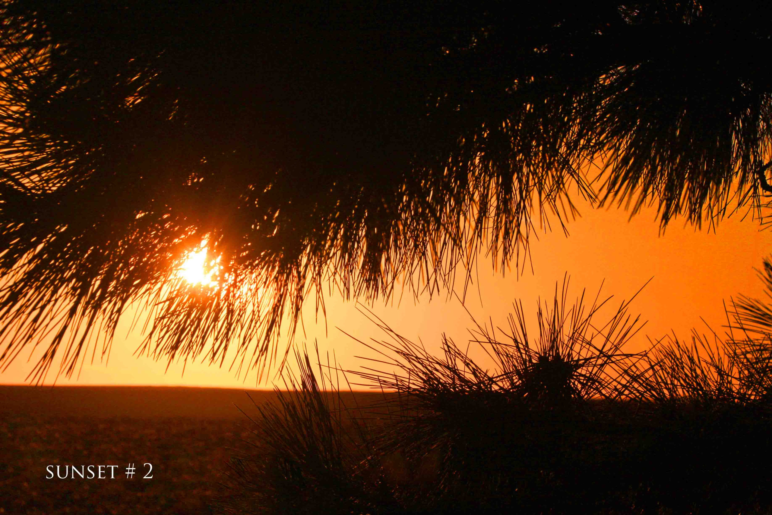 2020-12-25 IMG_9653 DLL NE PM # 2 copy