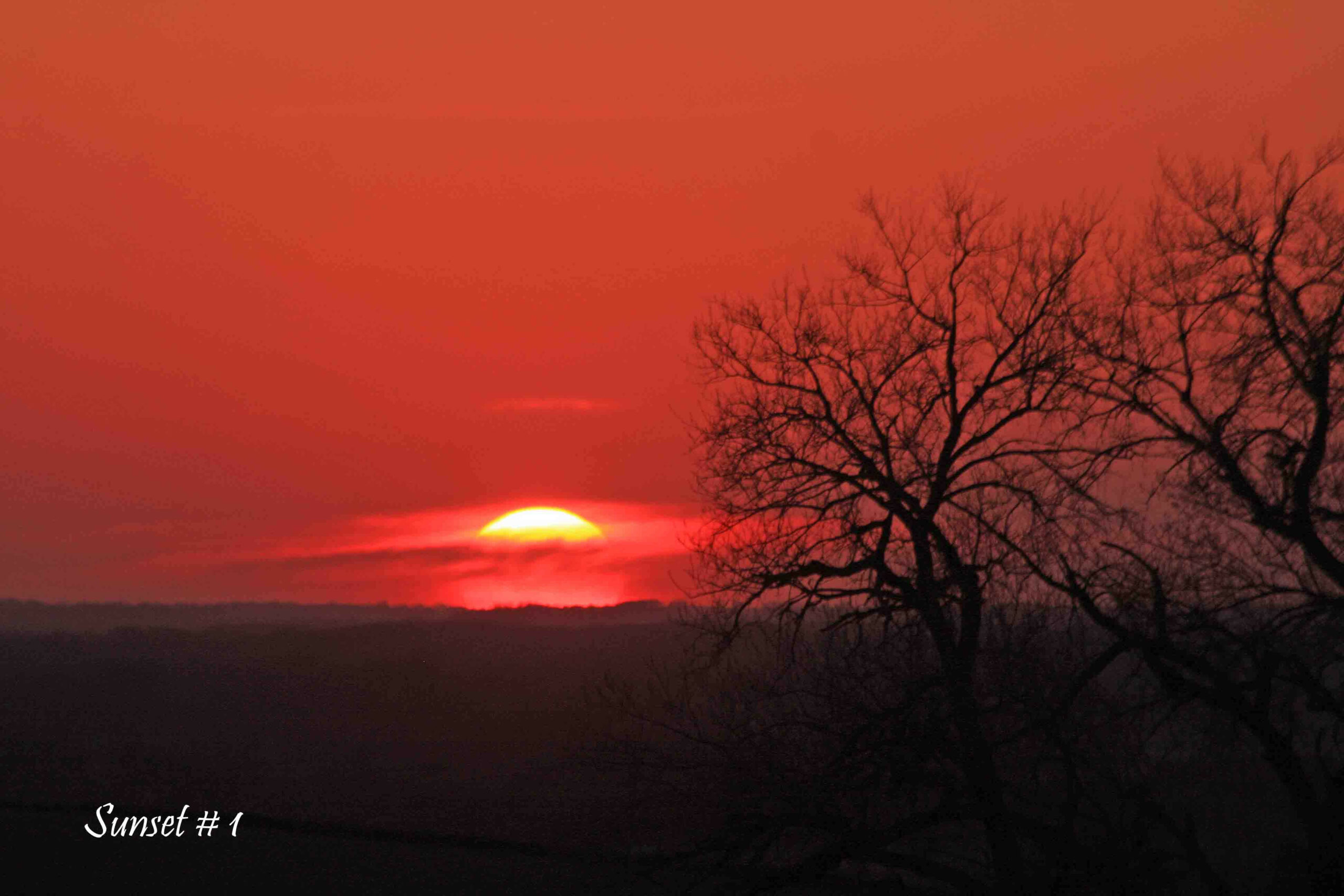 2021-04-23 IMG_1663 DLL NE PM # 1 copy