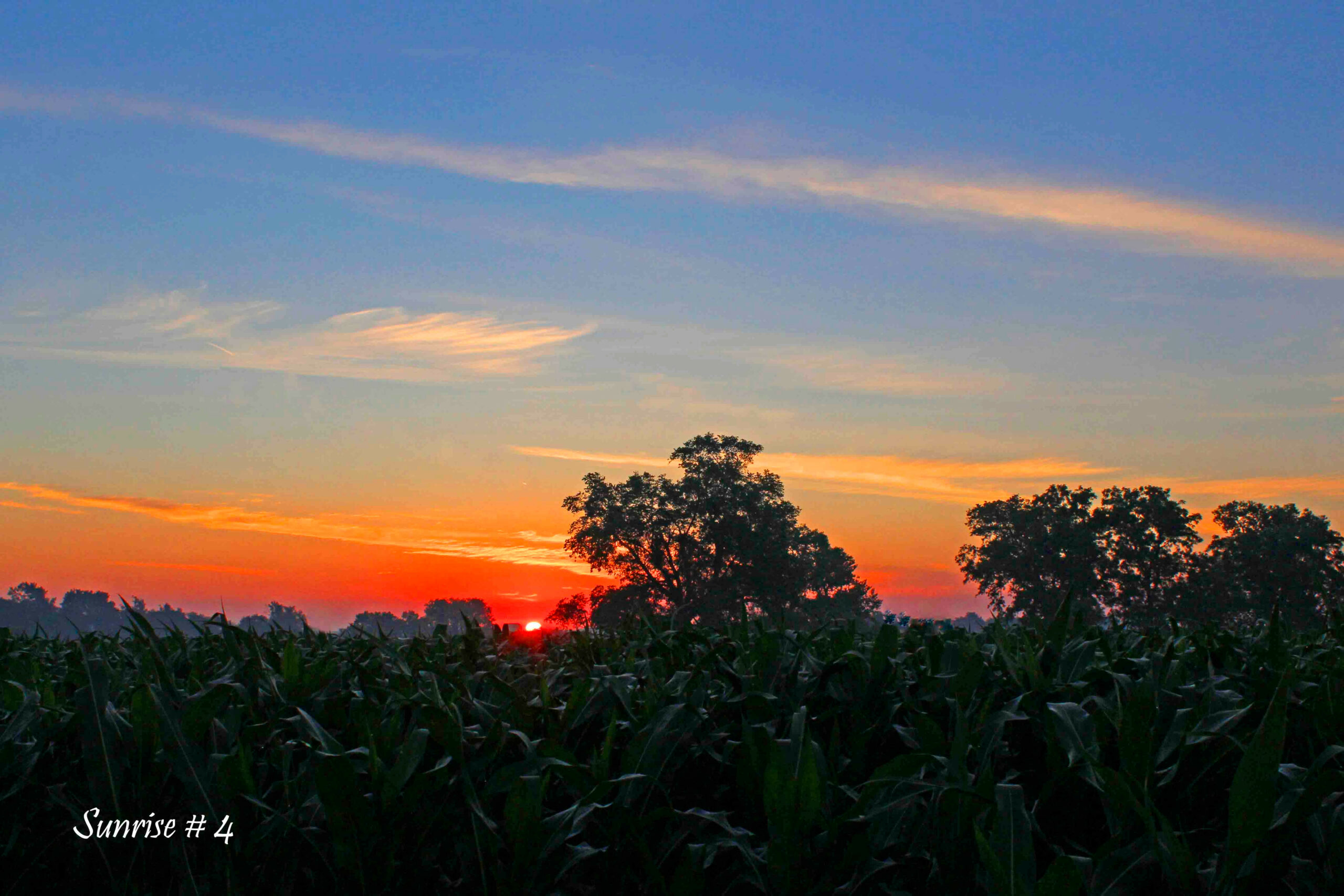 Photography #41269 from 2021-06-30 Sunrise