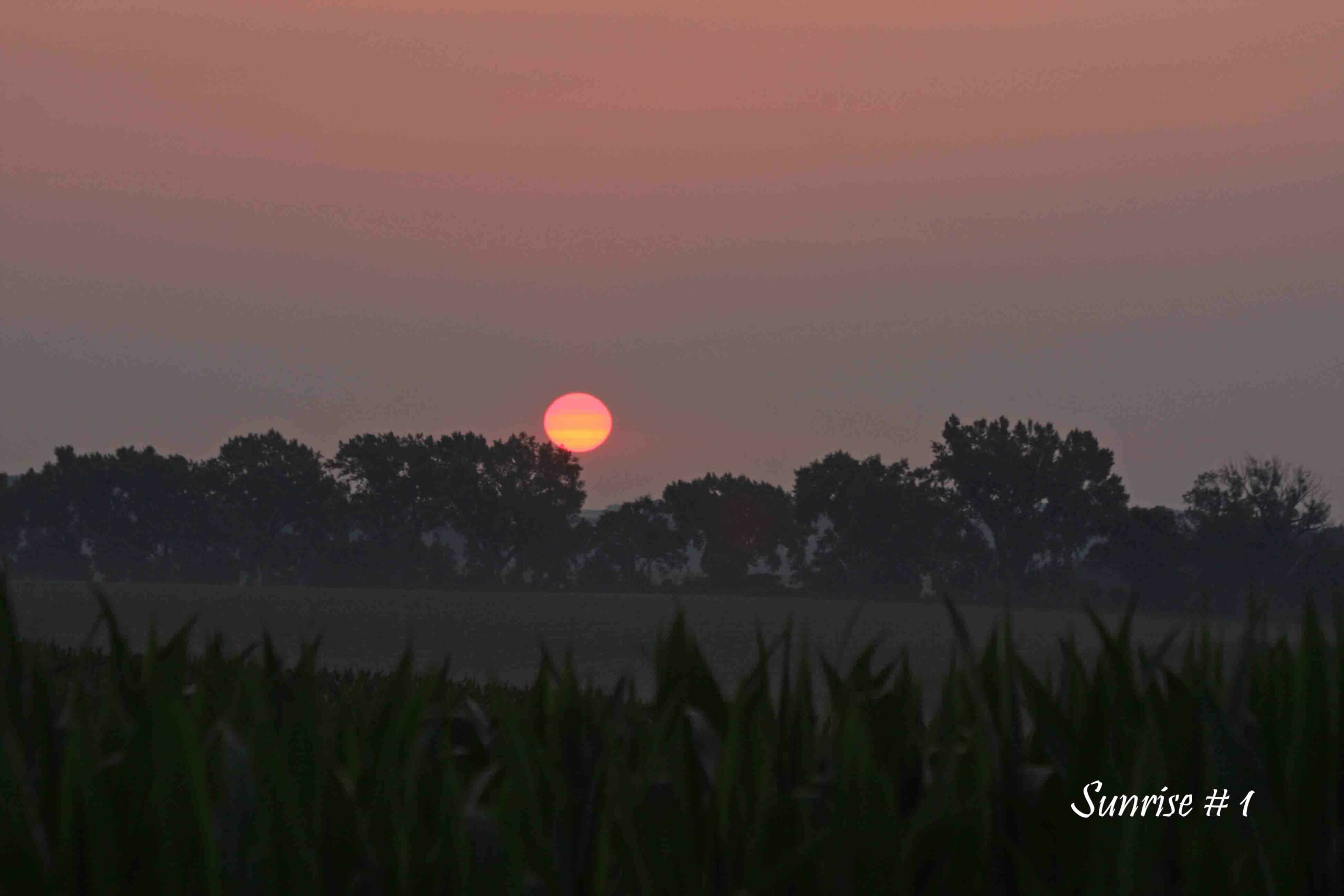 Photography #41608 from 2021-07-13 Sunrise