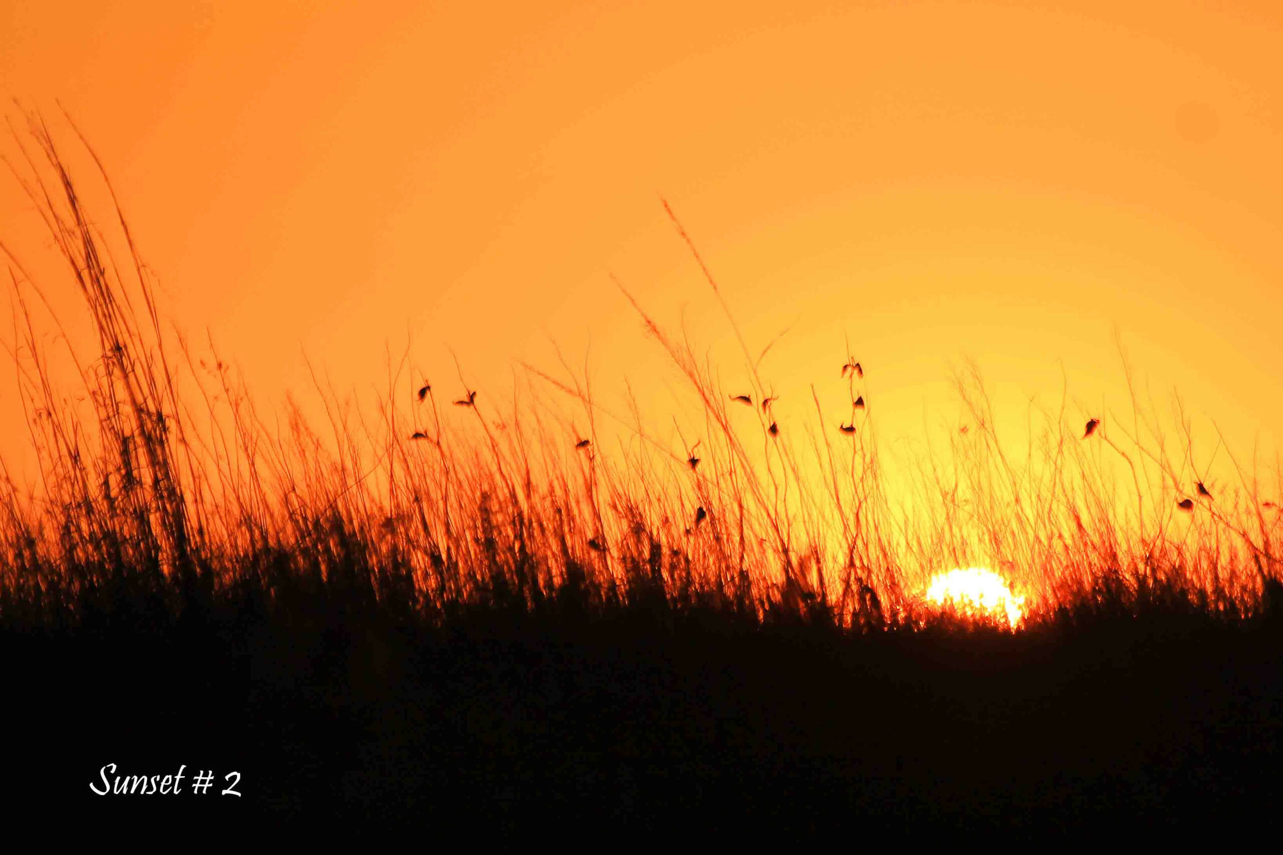 Photography #42033 from 2021-05-12 Sunset