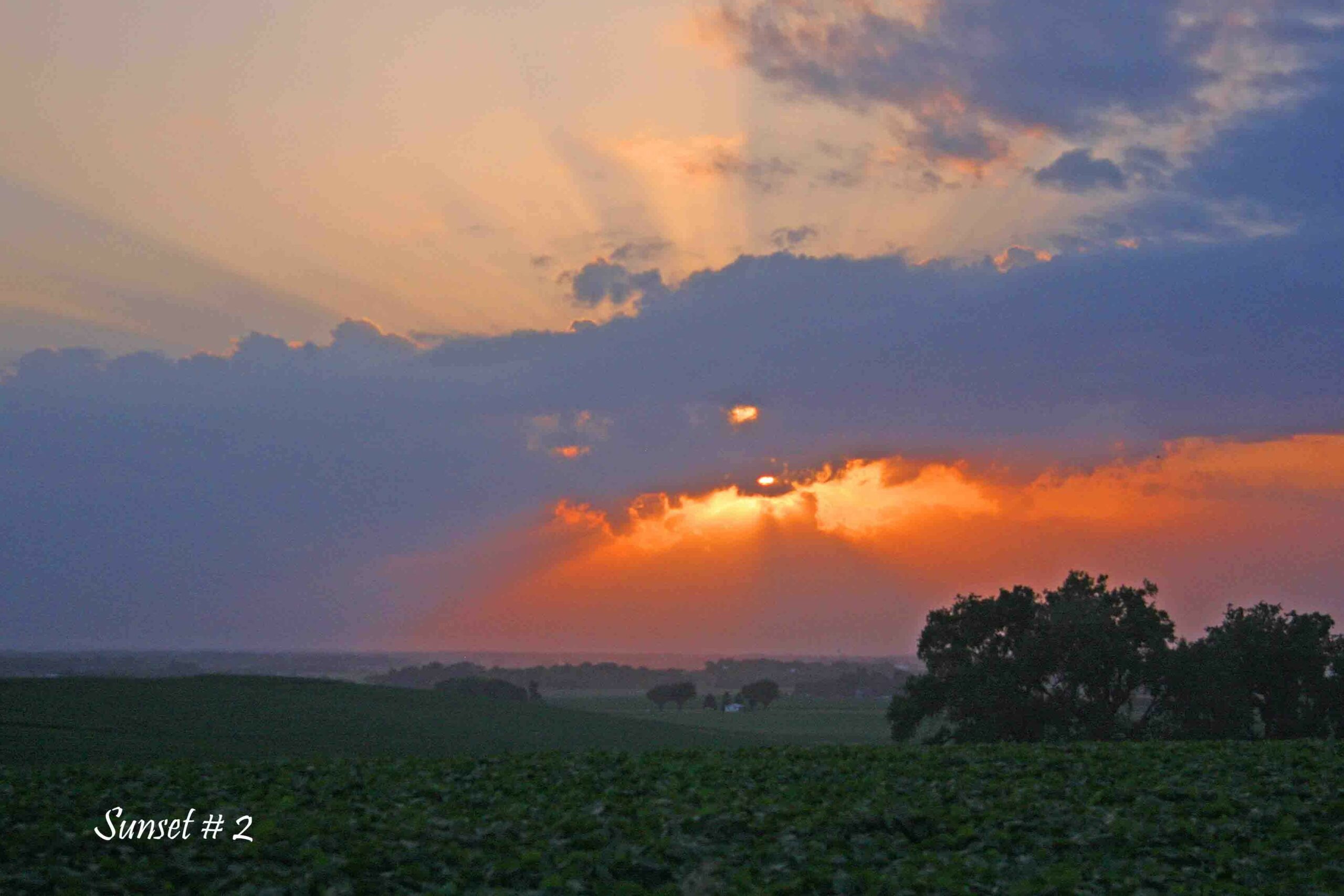 2019-06-28 IMG_0591 DLL NE PM # 2 copy