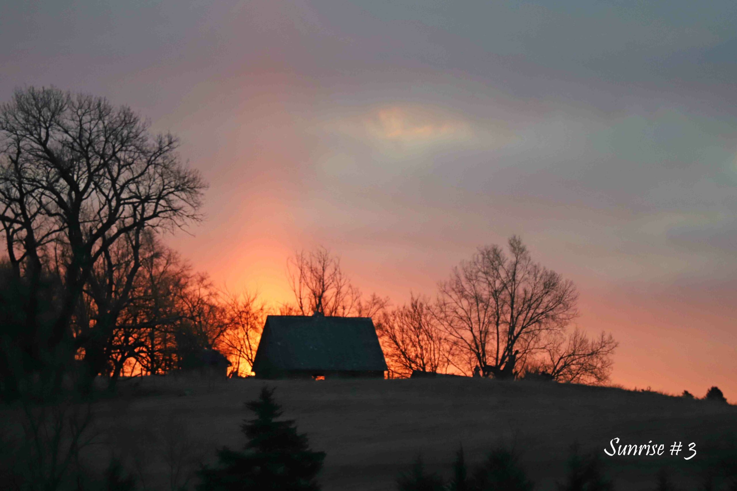 2021-02-13-IMG_2627-DLL-NE-AM-3-copy