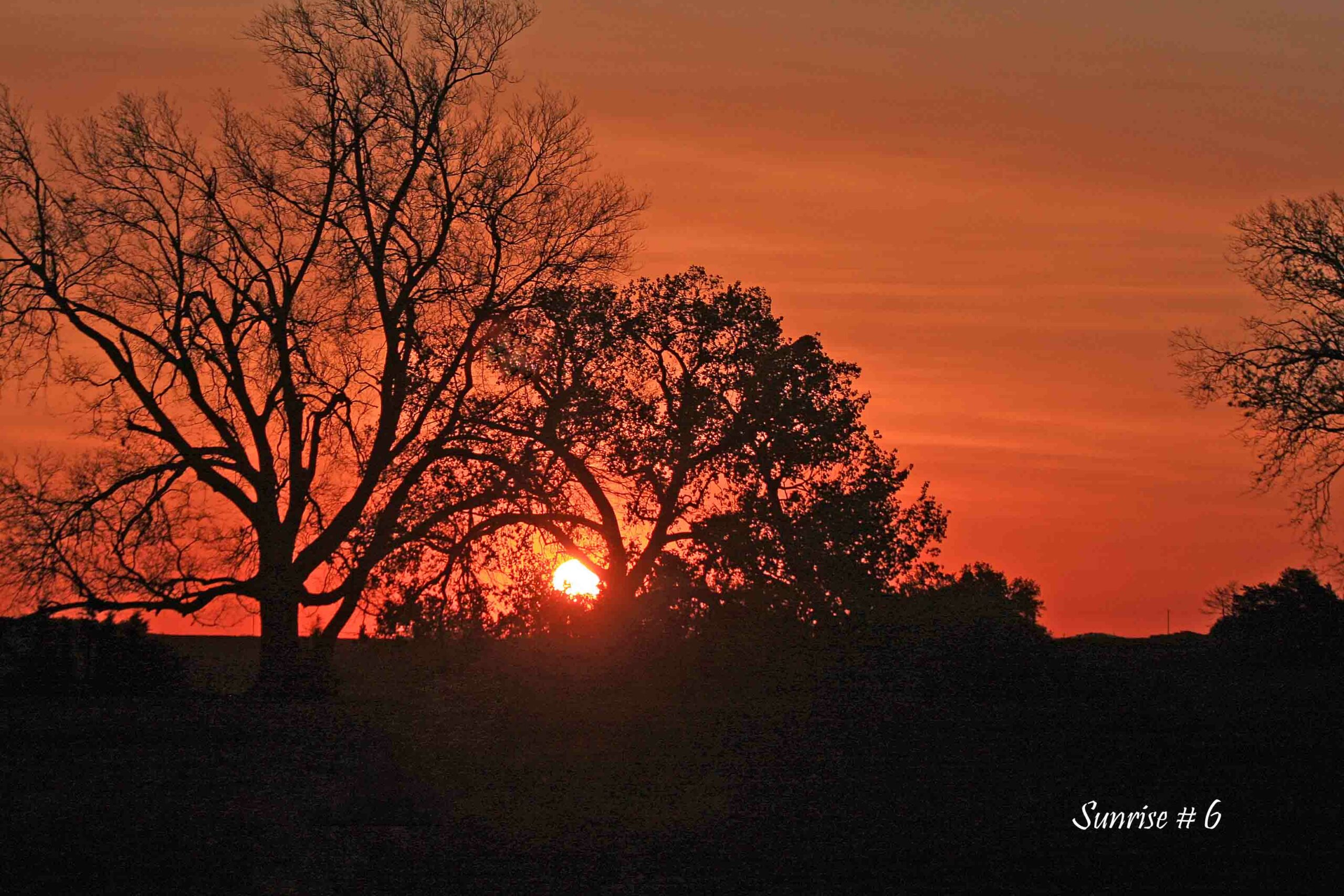 2021-04-11-111-IMG_1824-DLL-NE-AM-6