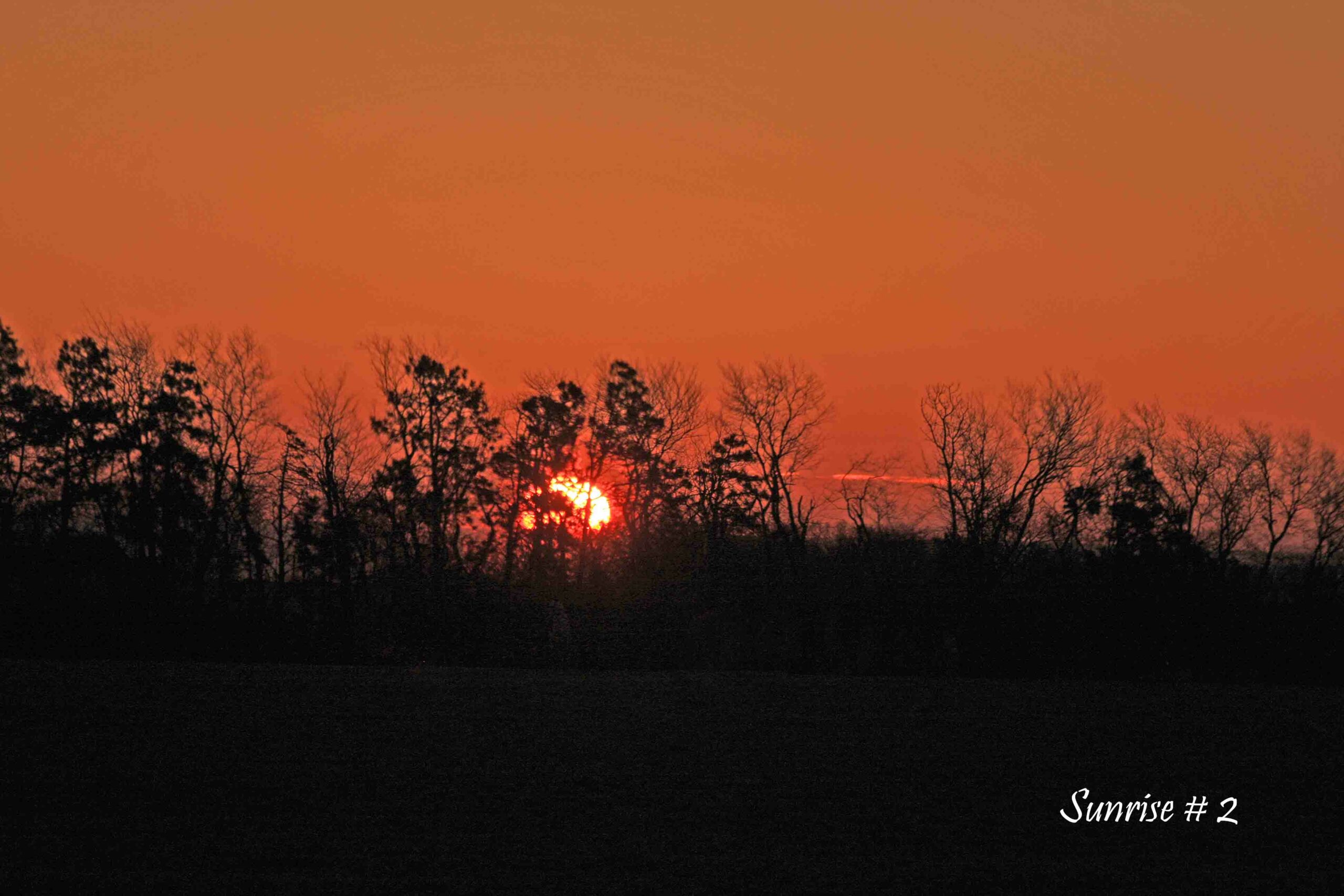 2021-04-14-IMG_1468-DLL-NE-AM-2-copy