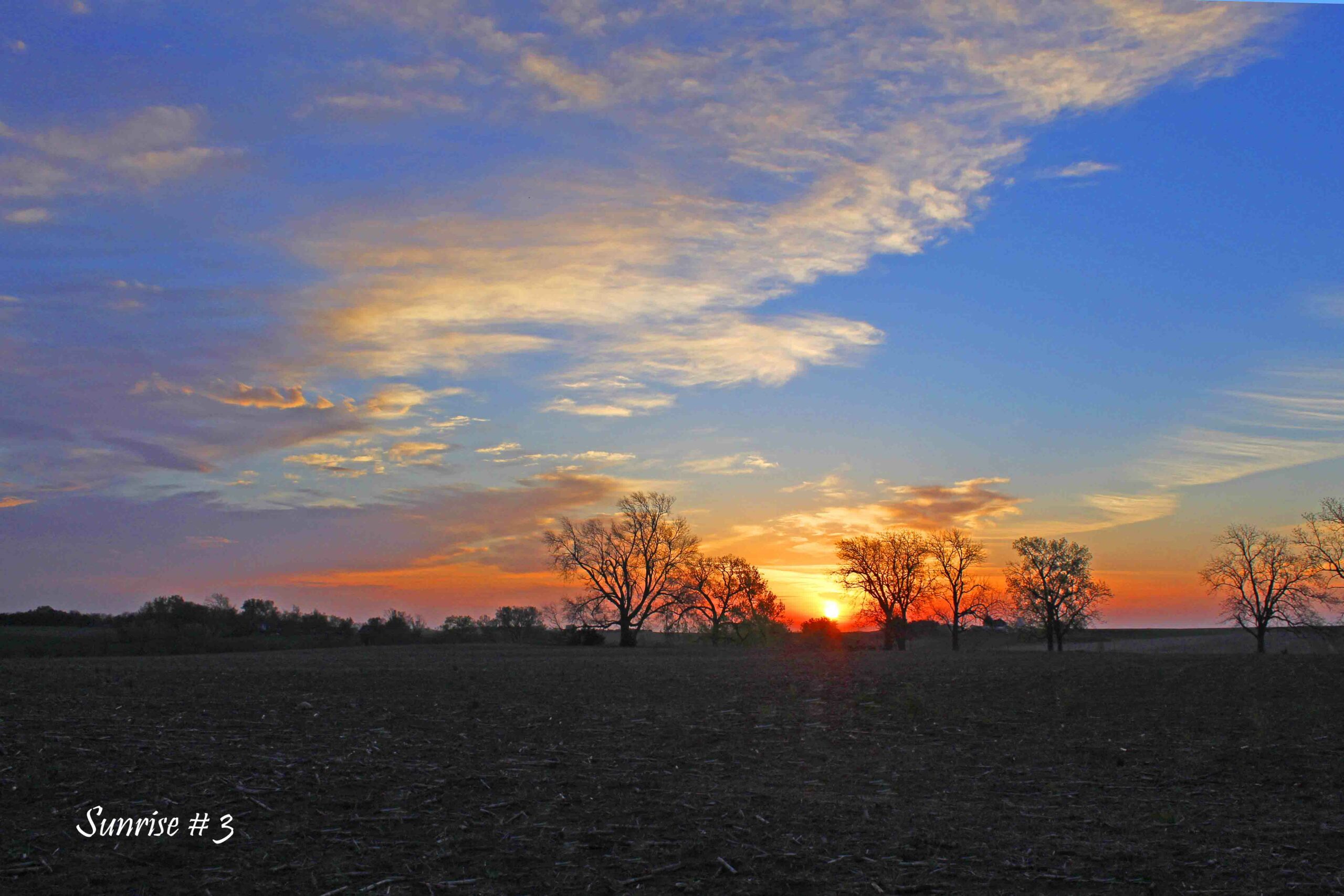 2021-05-02-_MG_1269-DLL-NE-AM-3-copy