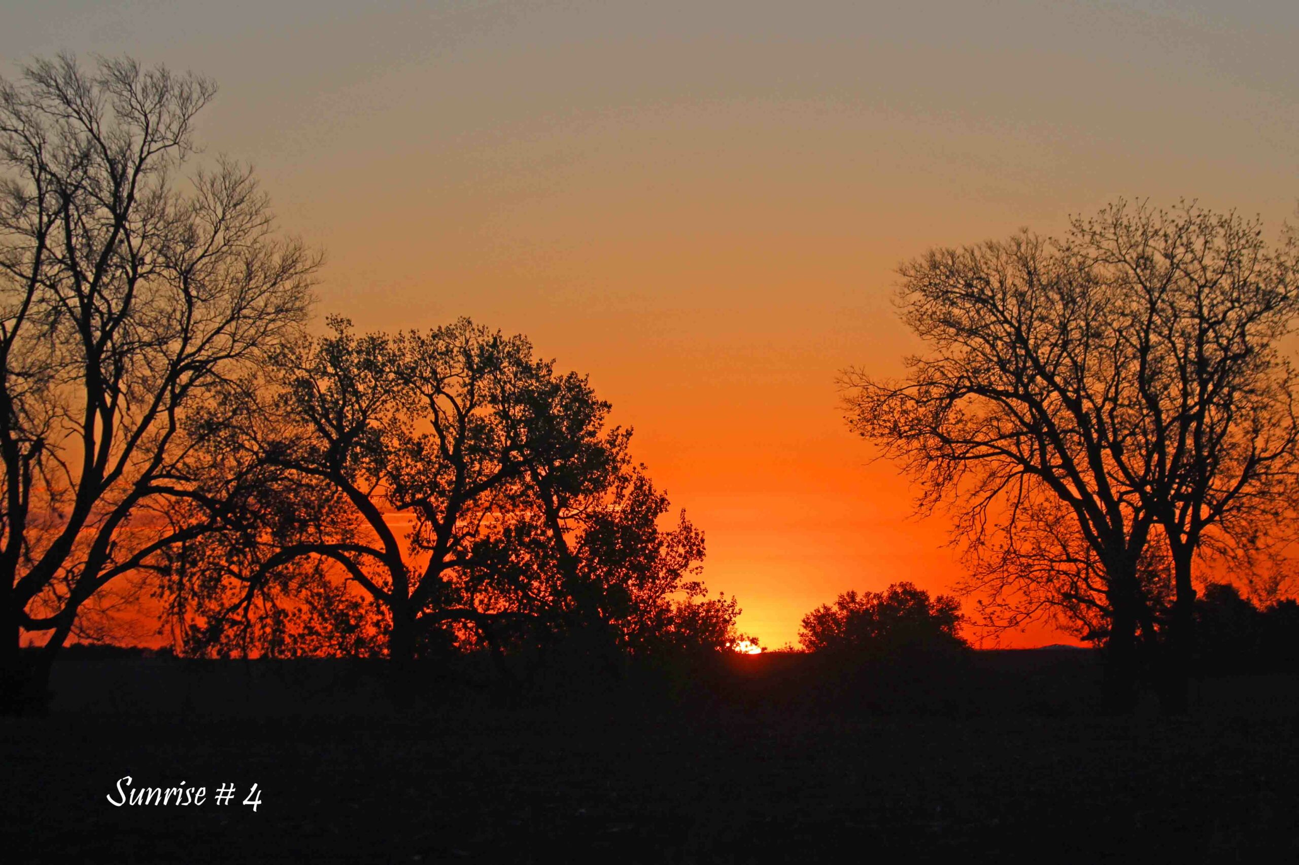 2021-05-05-_MG_1329-DLL-NE-AM-4-copy