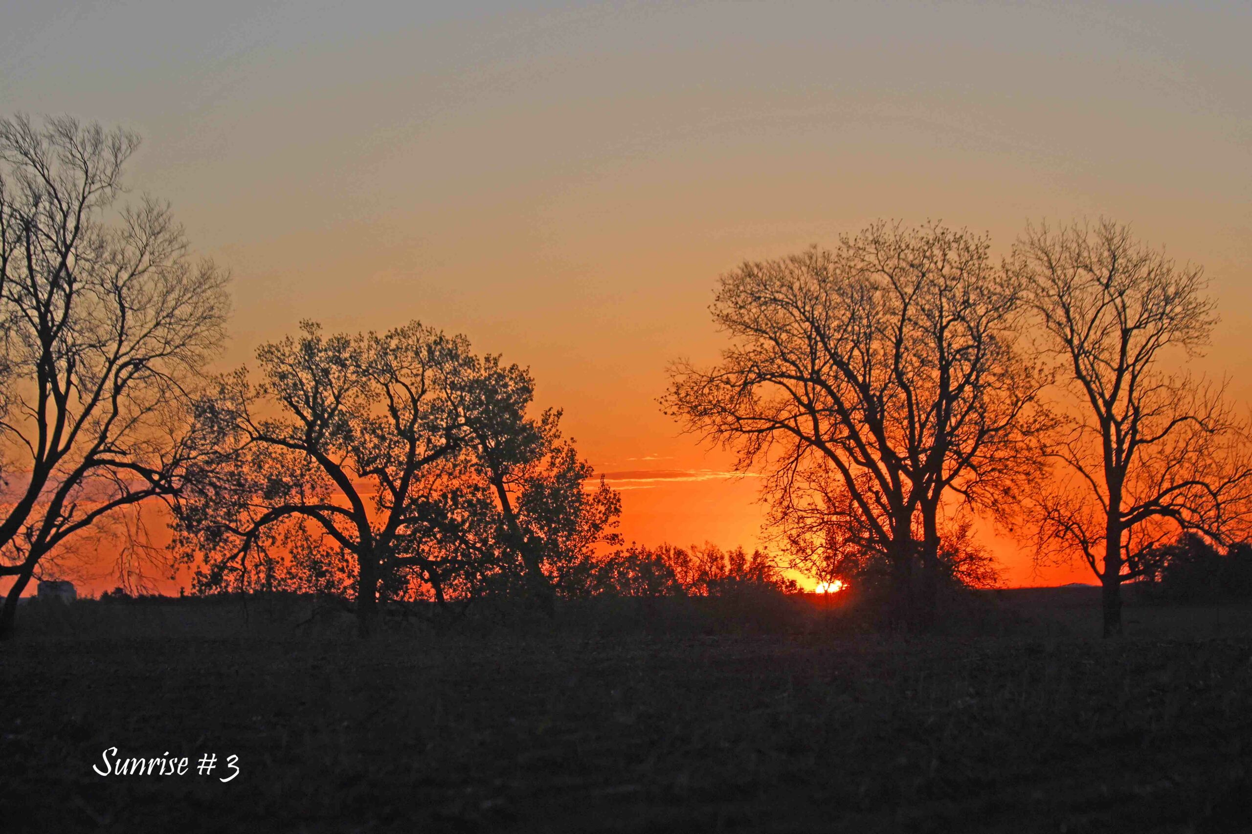 2021-05-05-_MG_1330-DLL-NE-AM-3-copy-1