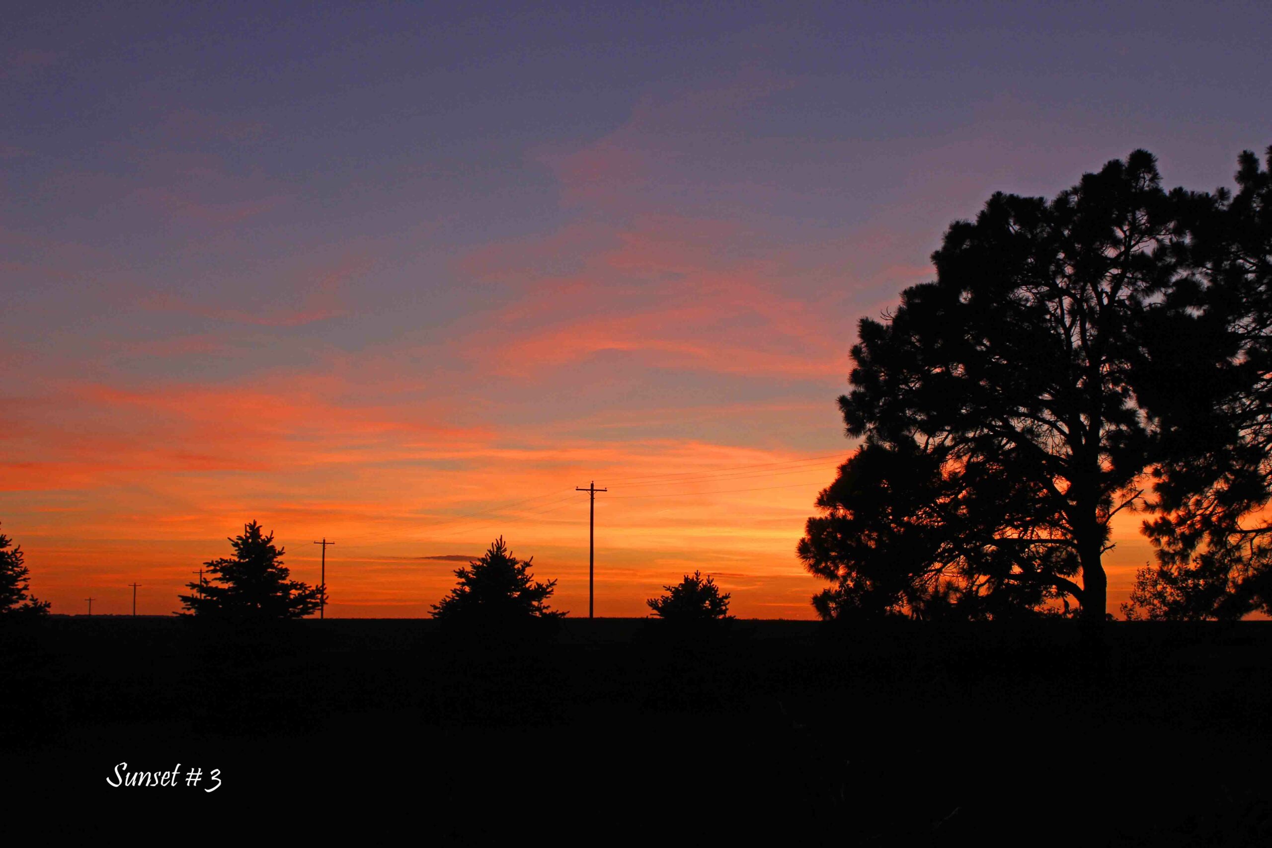 2021-06-03-_MG_1857-DLL-NE-PM-3-copy