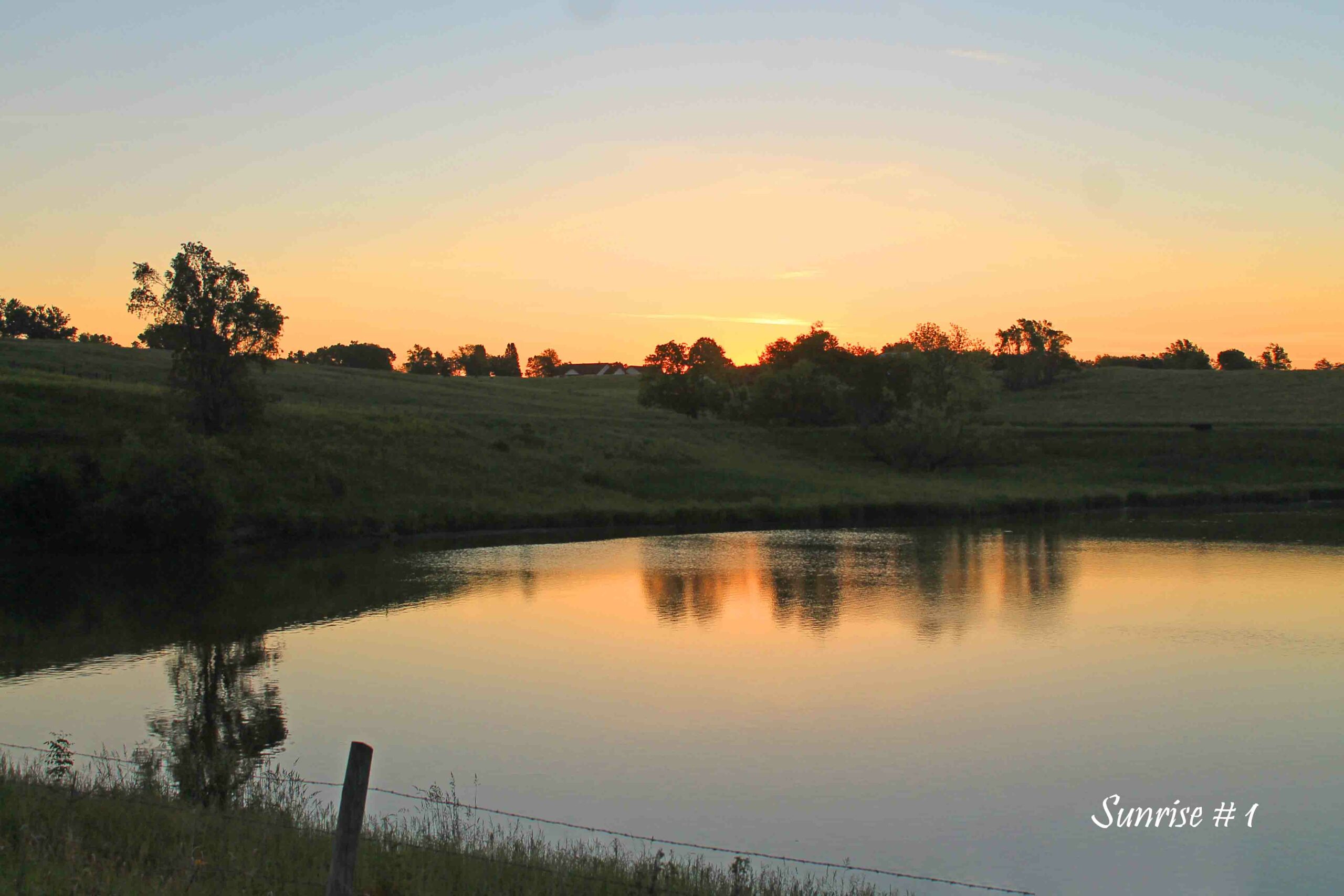 2021-06-04-IMG_0762-DLL-NE-AM-1-copy