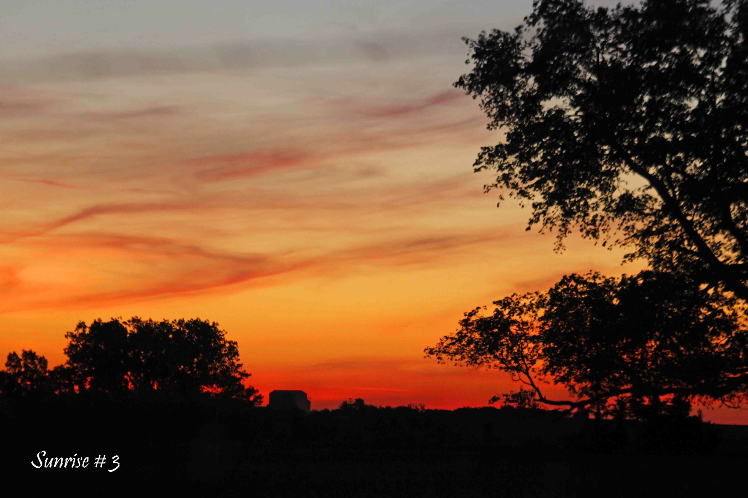 2021-06-05-_MG_1870-DLL-NE-AM-3-copy