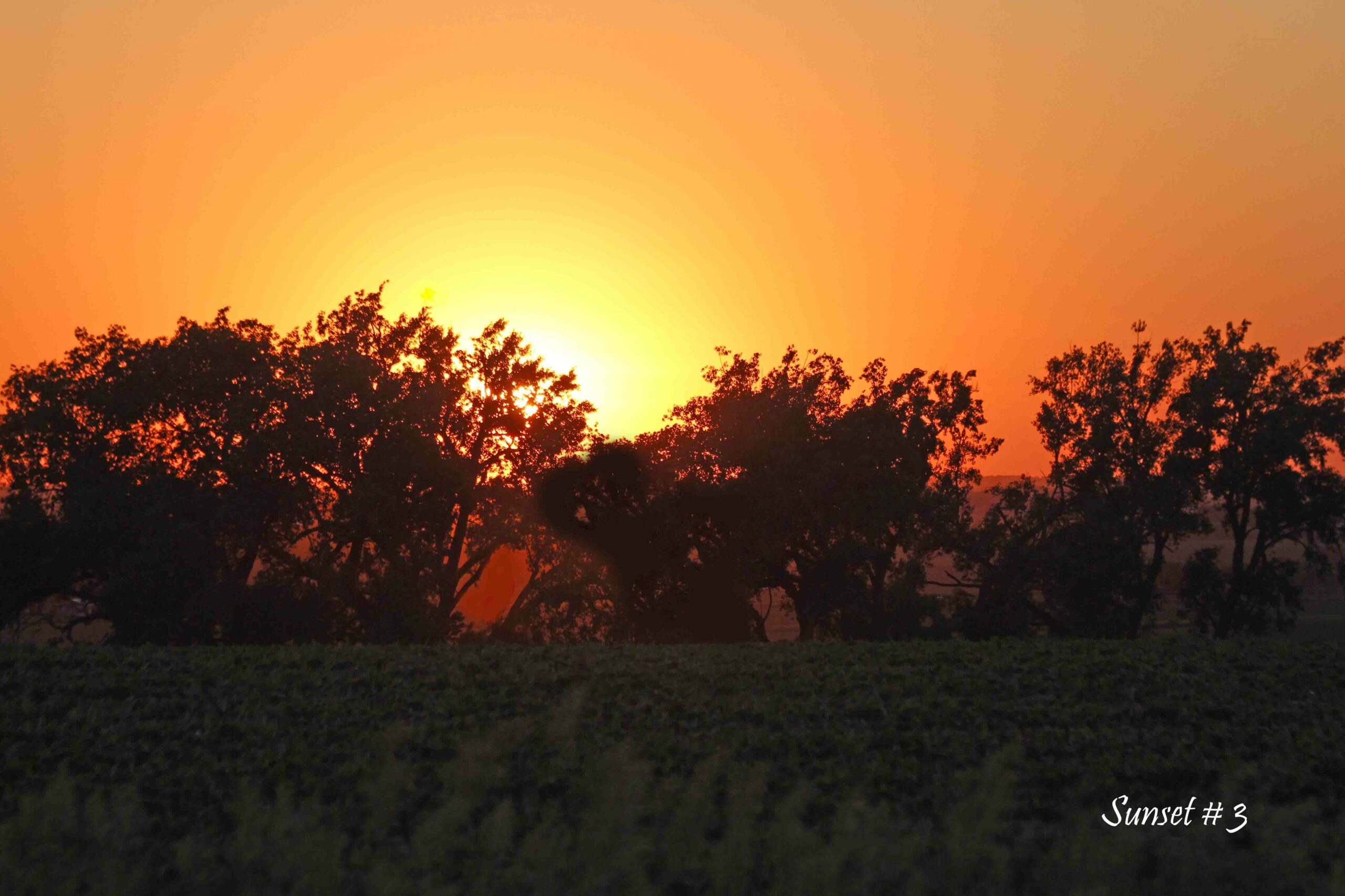 2021-06-05-_MG_1878-DLL-NE-PM-3-copy