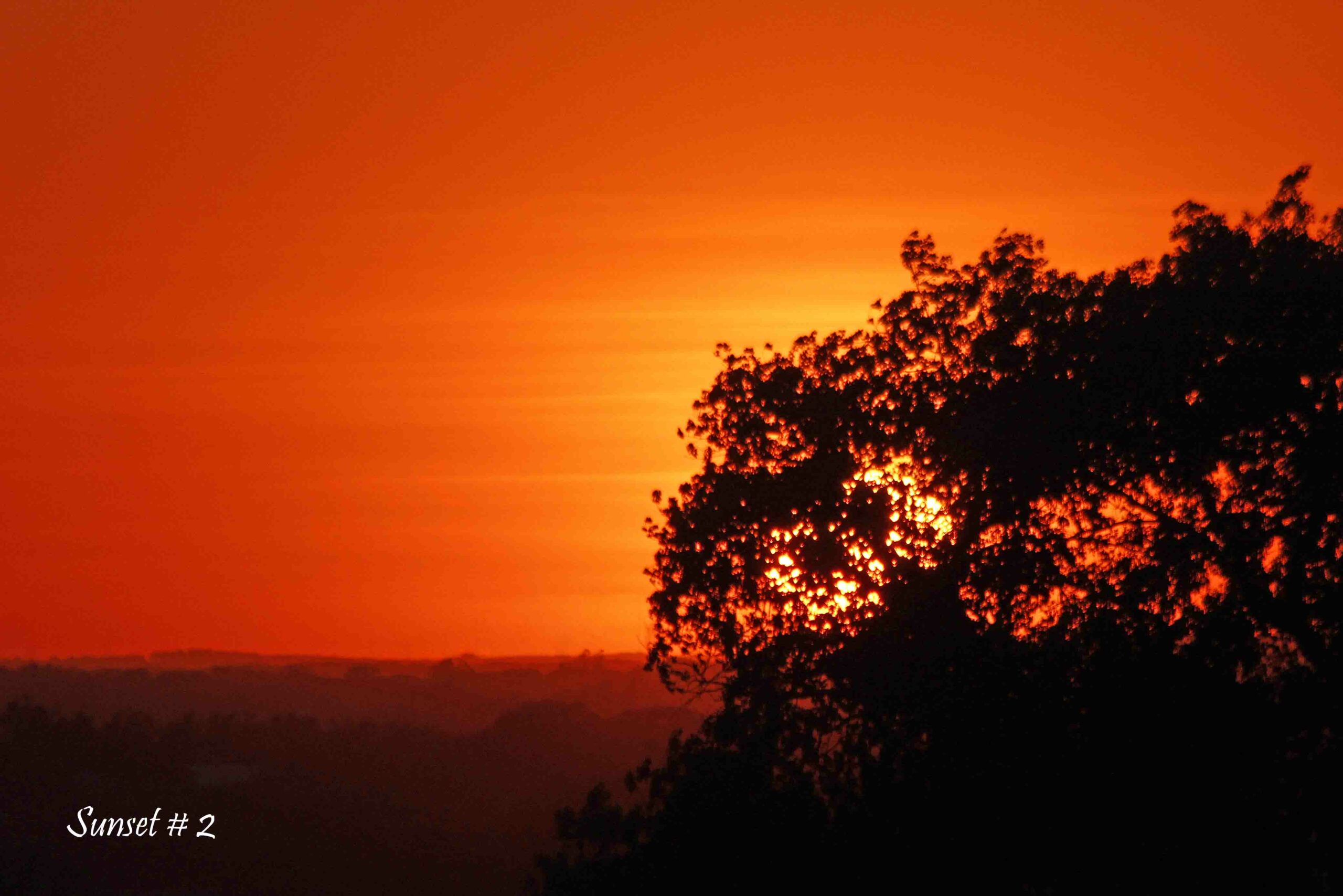 2021-06-05-_MG_1880-DLL-NE-PM-2-copy