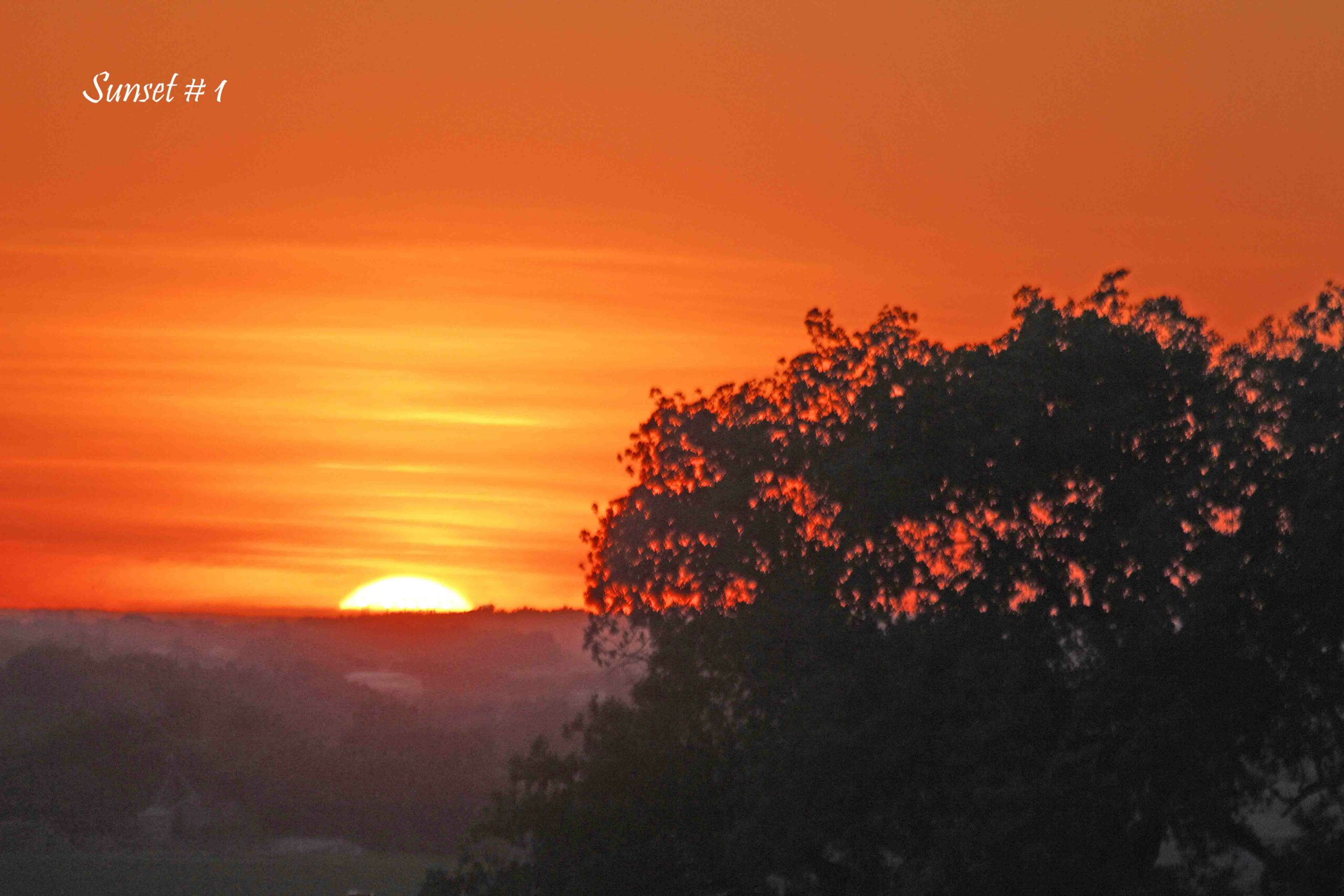 2021-06-05-_MG_1883-DLL-NE-PM-1-copy