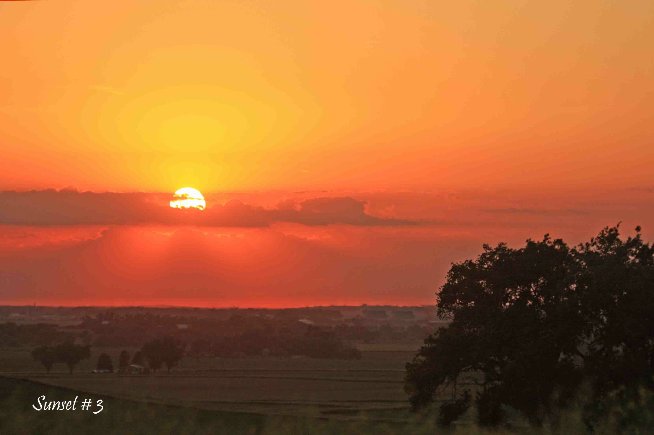 2021-06-06-IMG_1924-DLL-NE-PM-3-copy