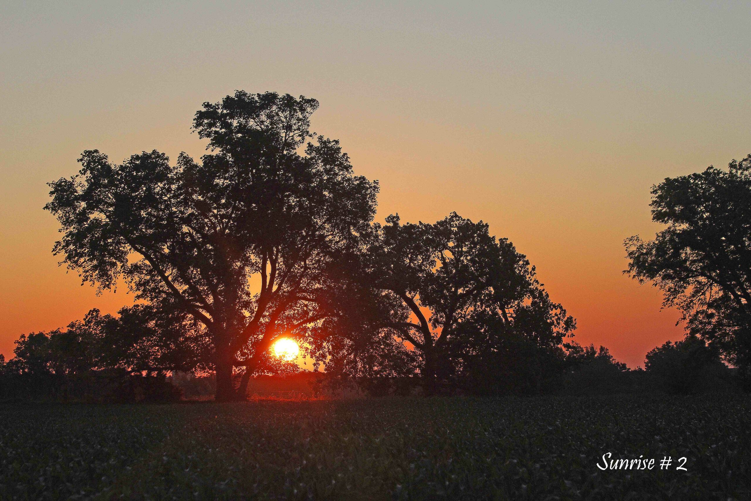 2021-06-06-_MG_1894-DLL-NE-AM-2-copy