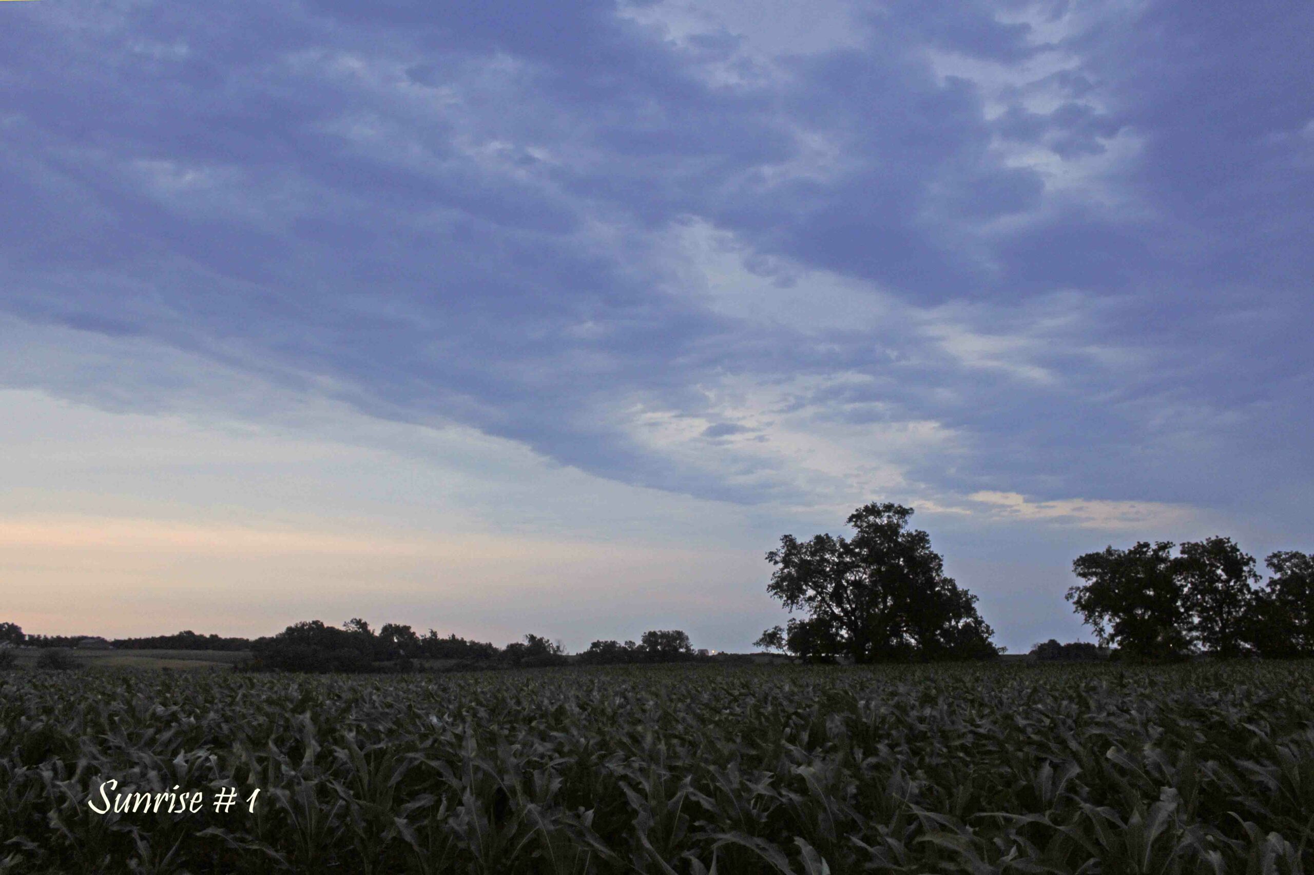 2021-06-24-_MG_2252-DLL-NE-AM-1-copy