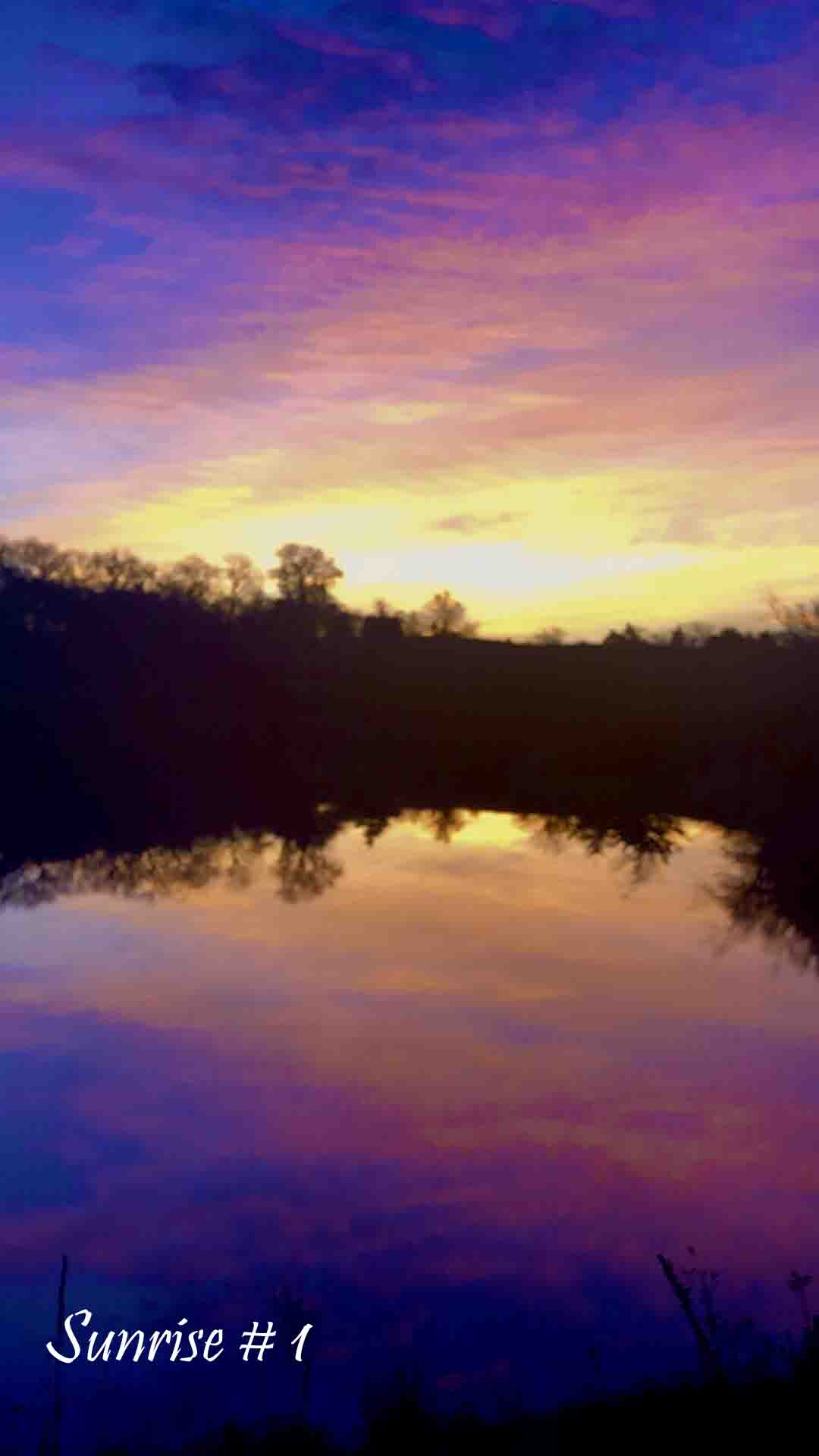 2021-11-15-IMG_E3428-DLL-NE-AM