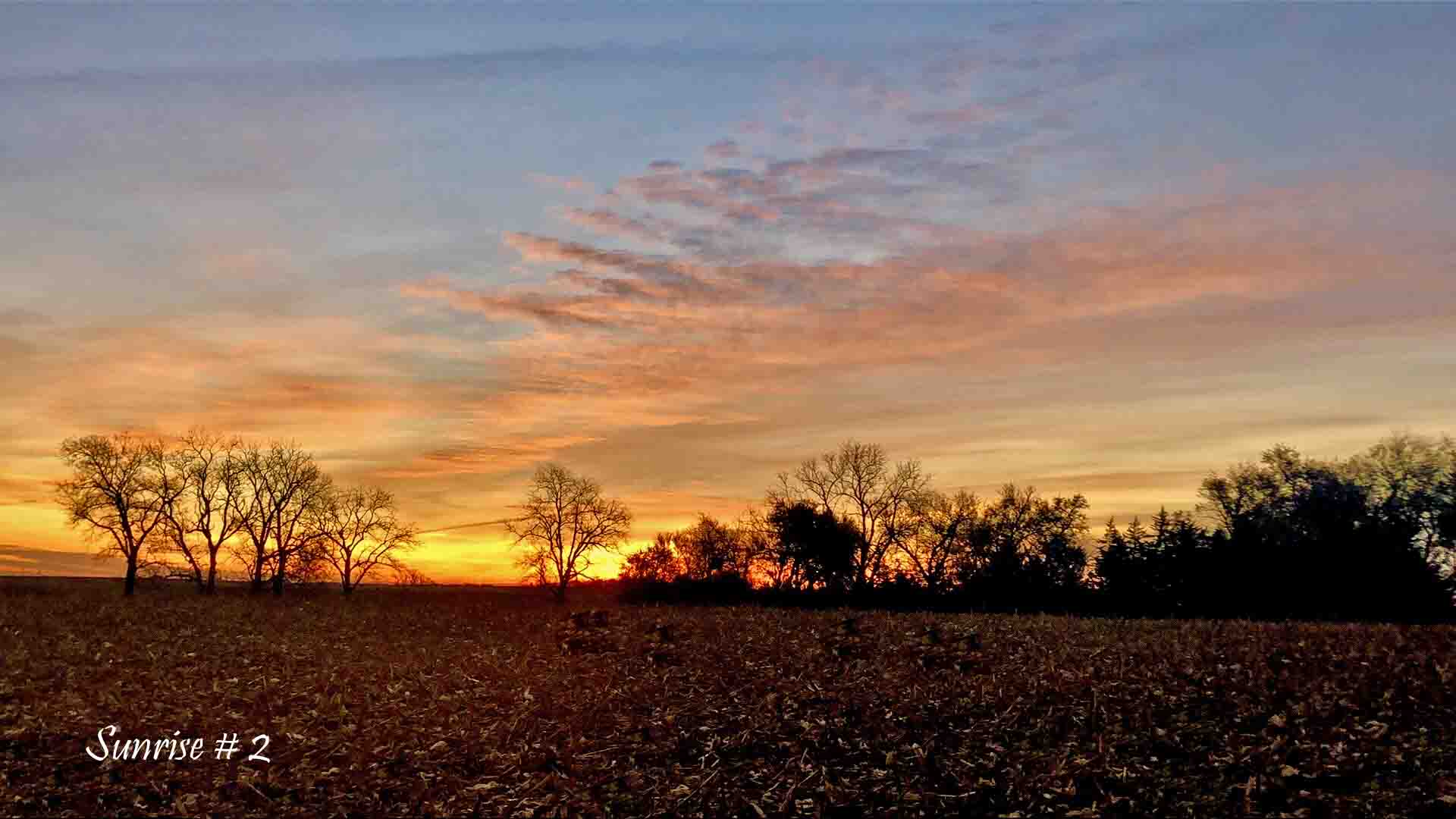 2021-11-15-IMG_E3429-DLL-NE-AM-FROM-PHONE-LOW-QUALITY-copy-2