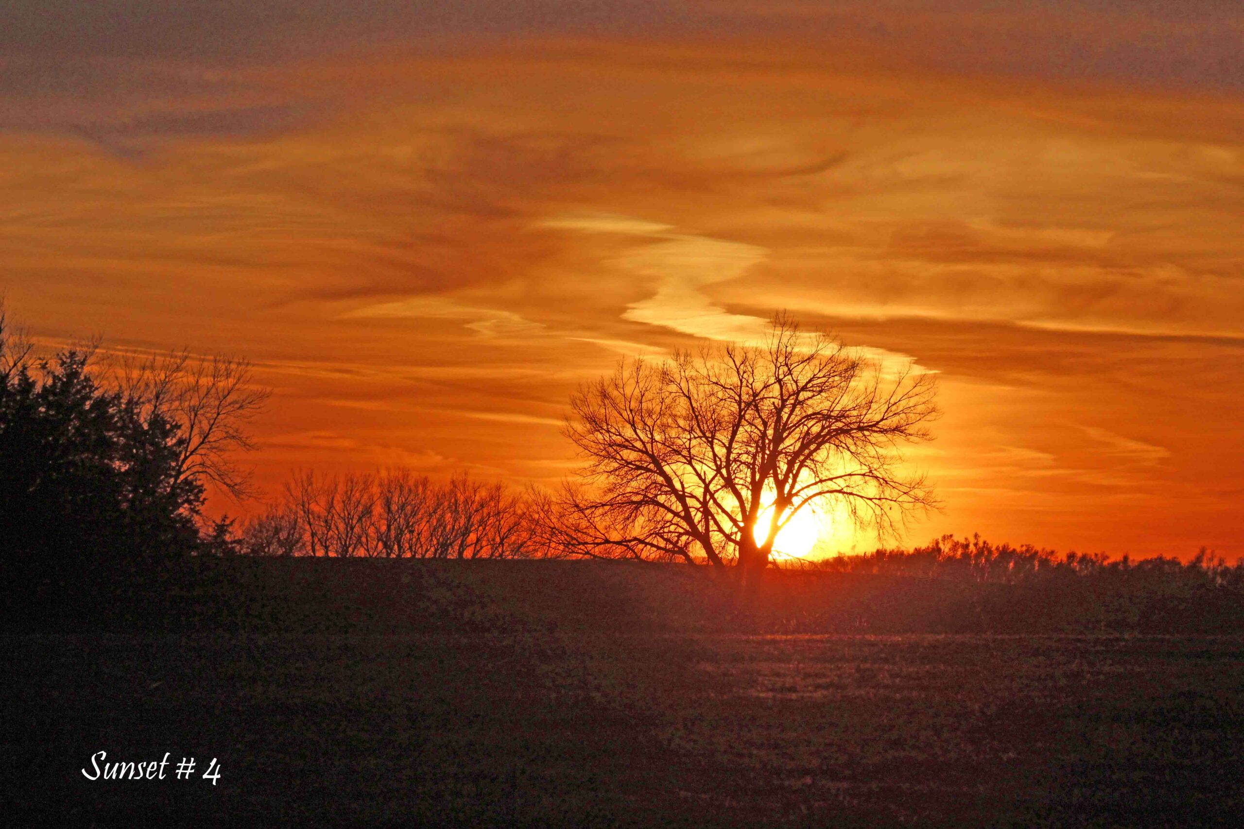 2021-11-15-_MG_6419-DLL-NE-PM-4-copy