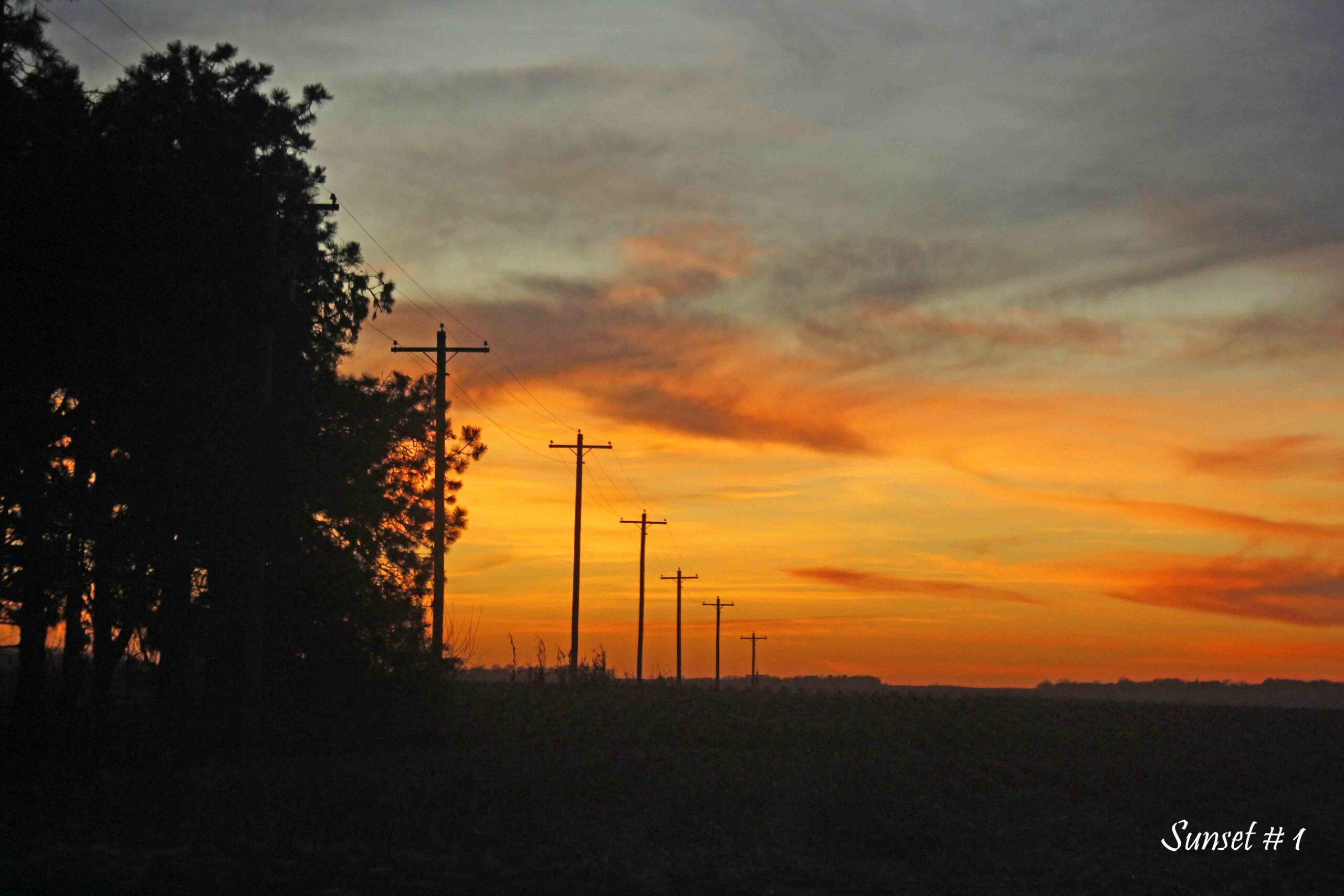 2021-11-15-_MG_6442-DLL-NE-PM-1-copy