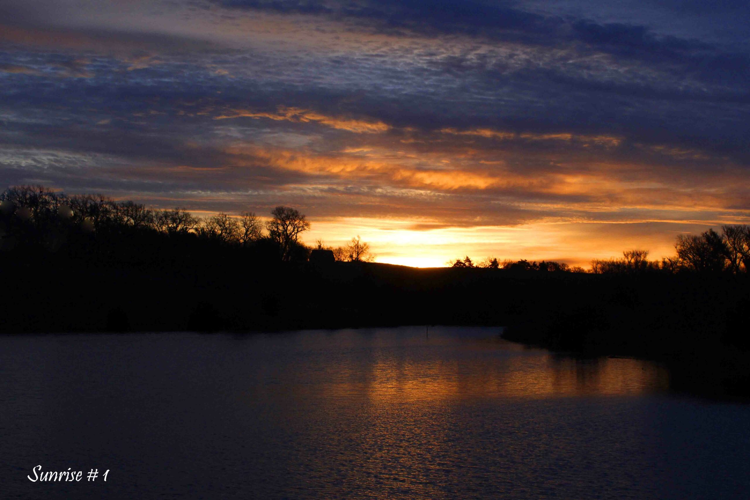 2021-11-16-_MG_6471-DLL-NE-AM-1-copy