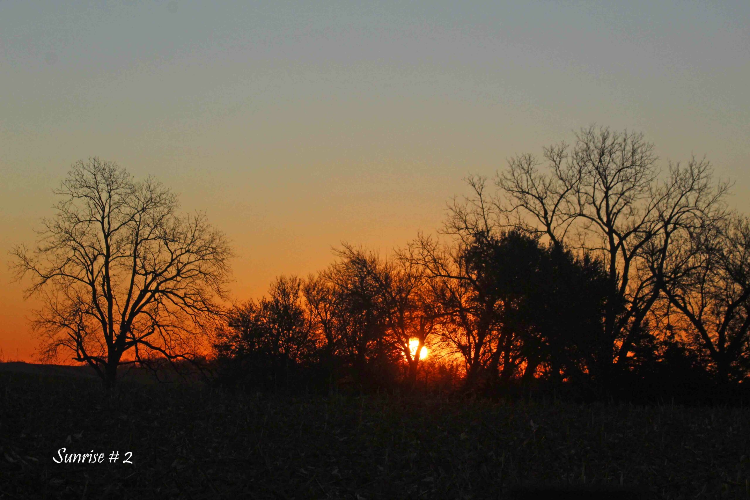 2021-11-18-_MG_6538-DLL-NE-AM-2-copy