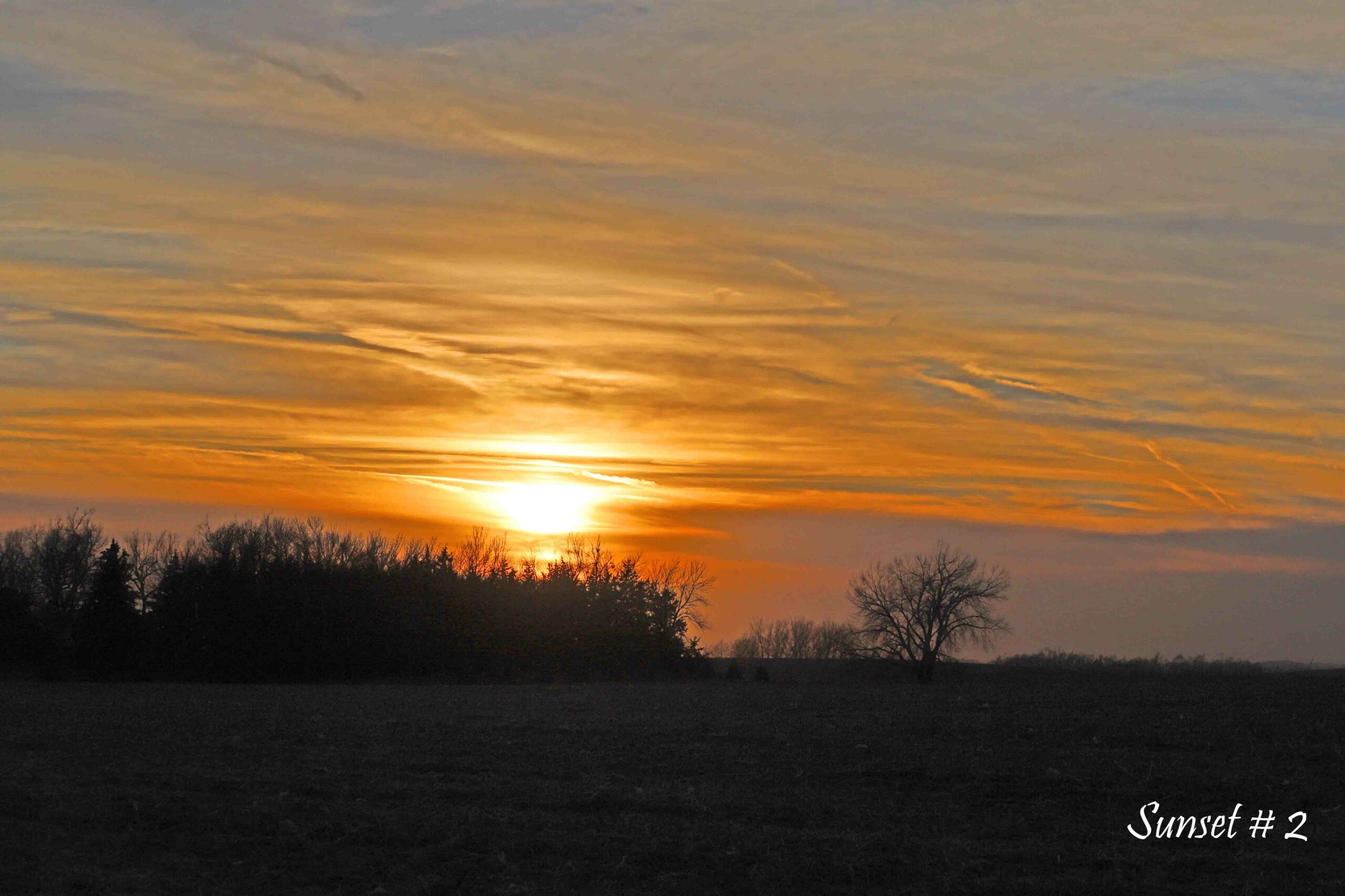 2021-12-08-IMG_0689-DLL-NE-PM-2-copy