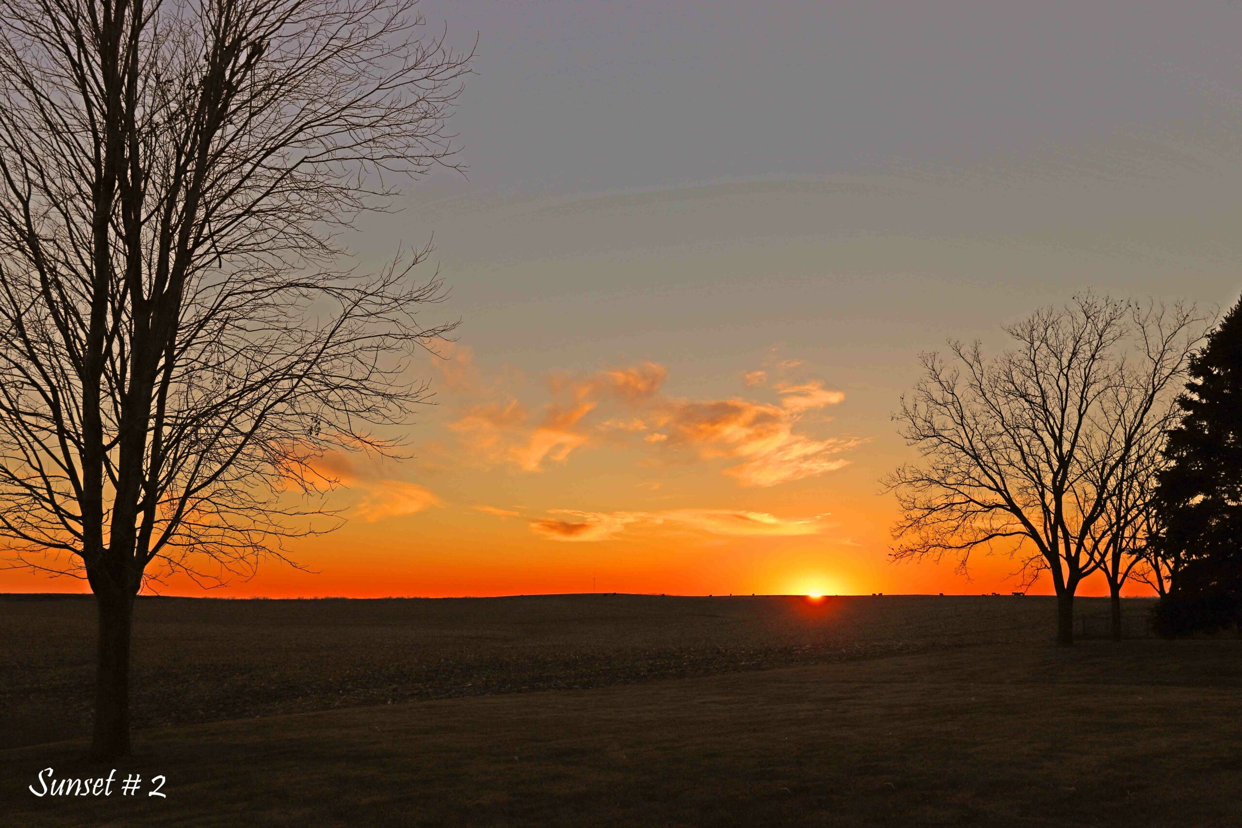 2021-12-20-IMG_1124-DLL-NE-PM-2-copy