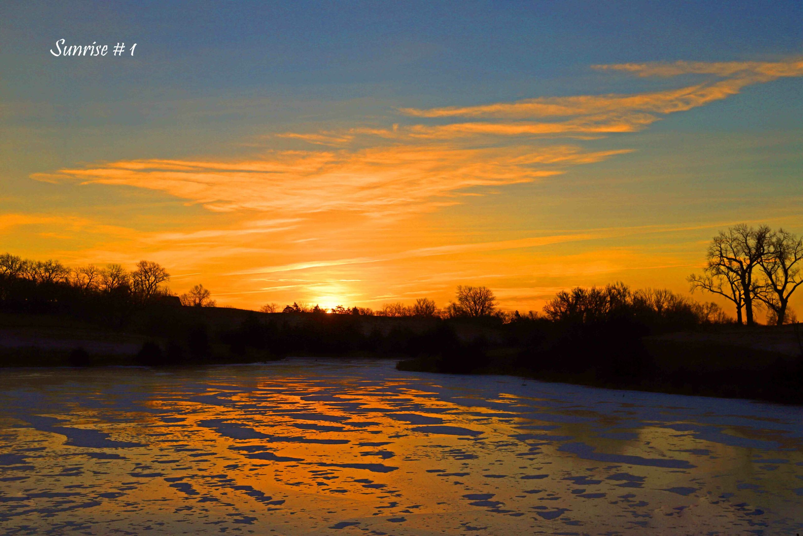 2022-01-03-IMG_1522-DLL-NE-AM-1-copy