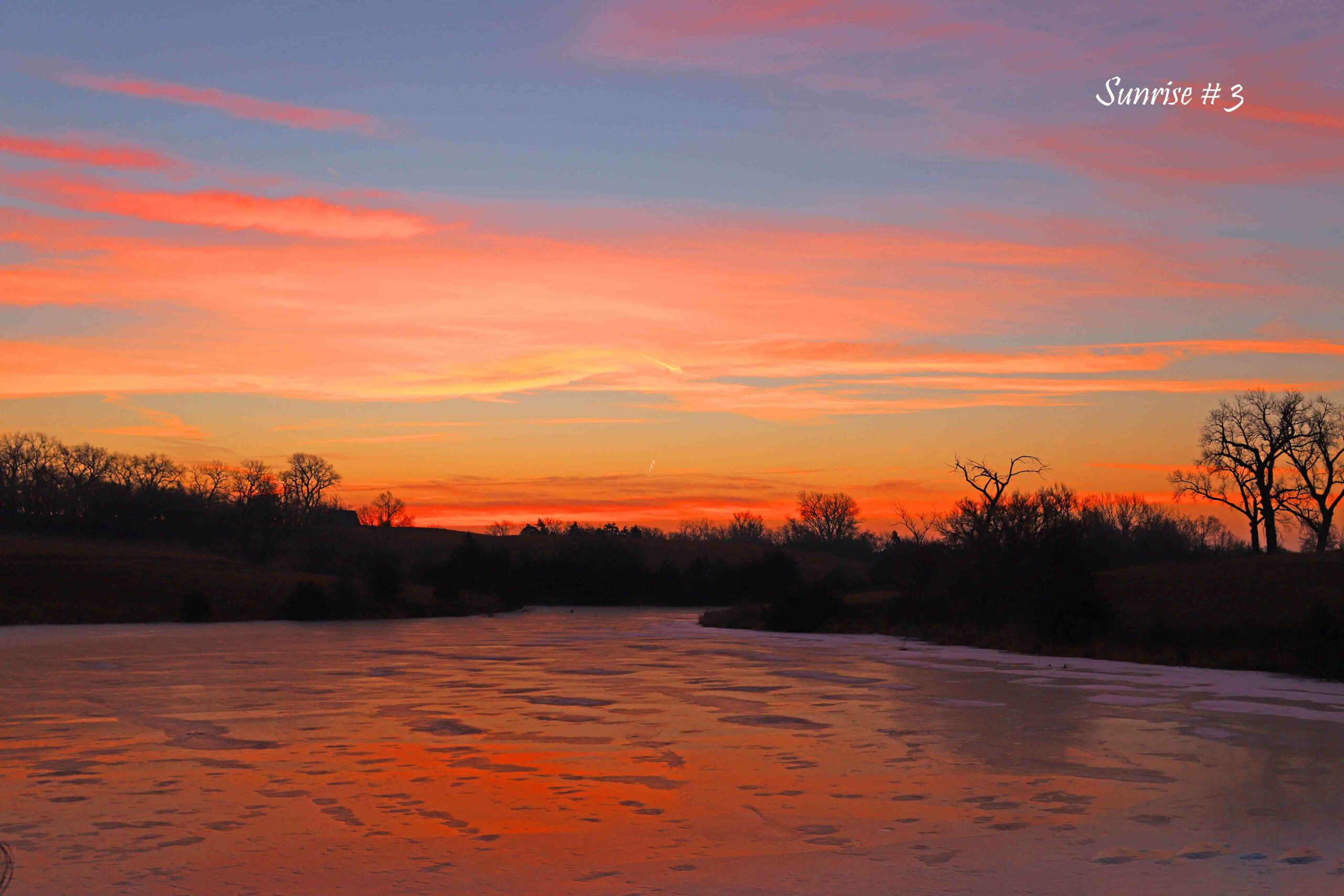 2022-01-08-IMG_1647-DLL-NE-AM-3-copy-1