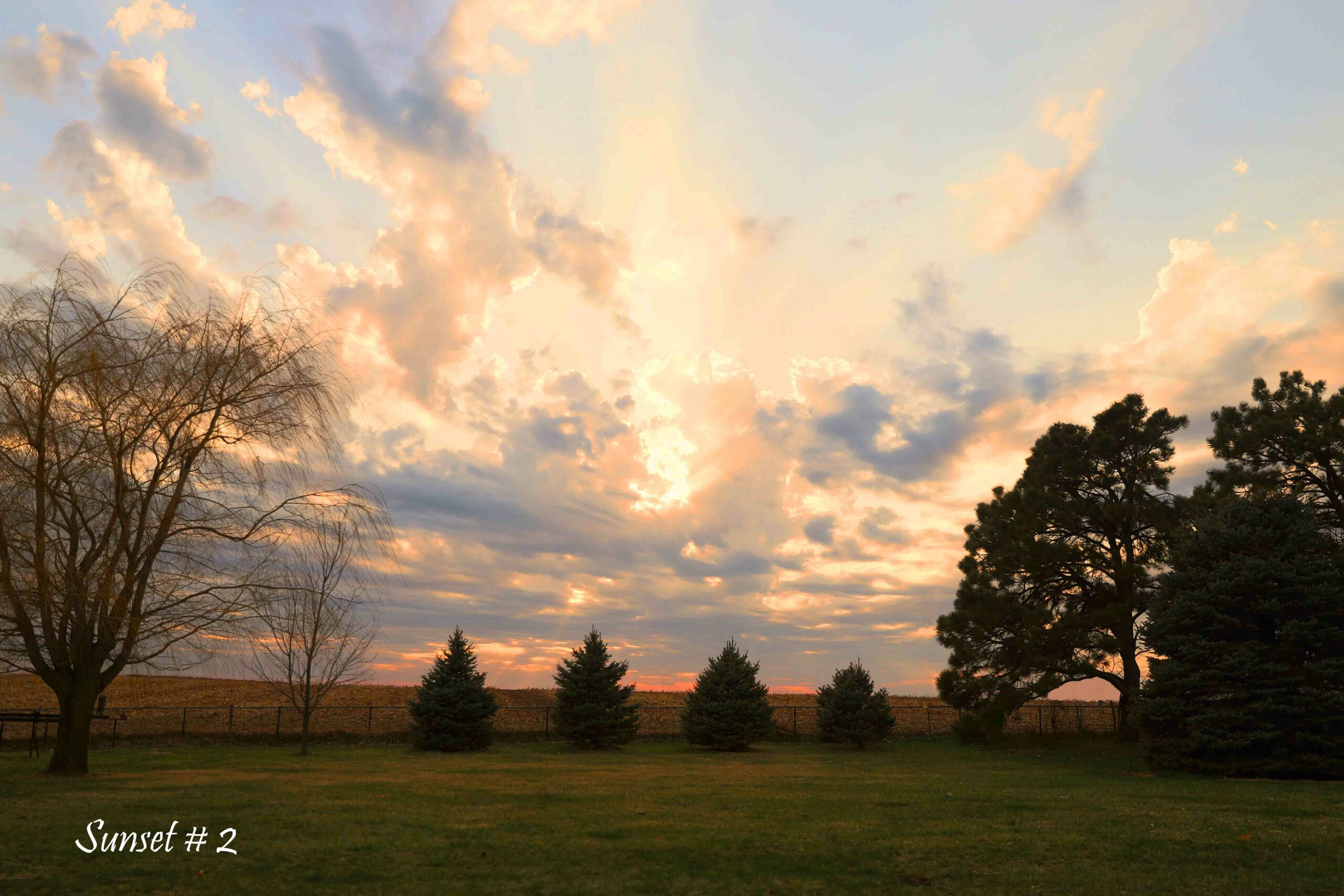 2022-04-21-IMG_8892-DLL-NE-PM-2-copy