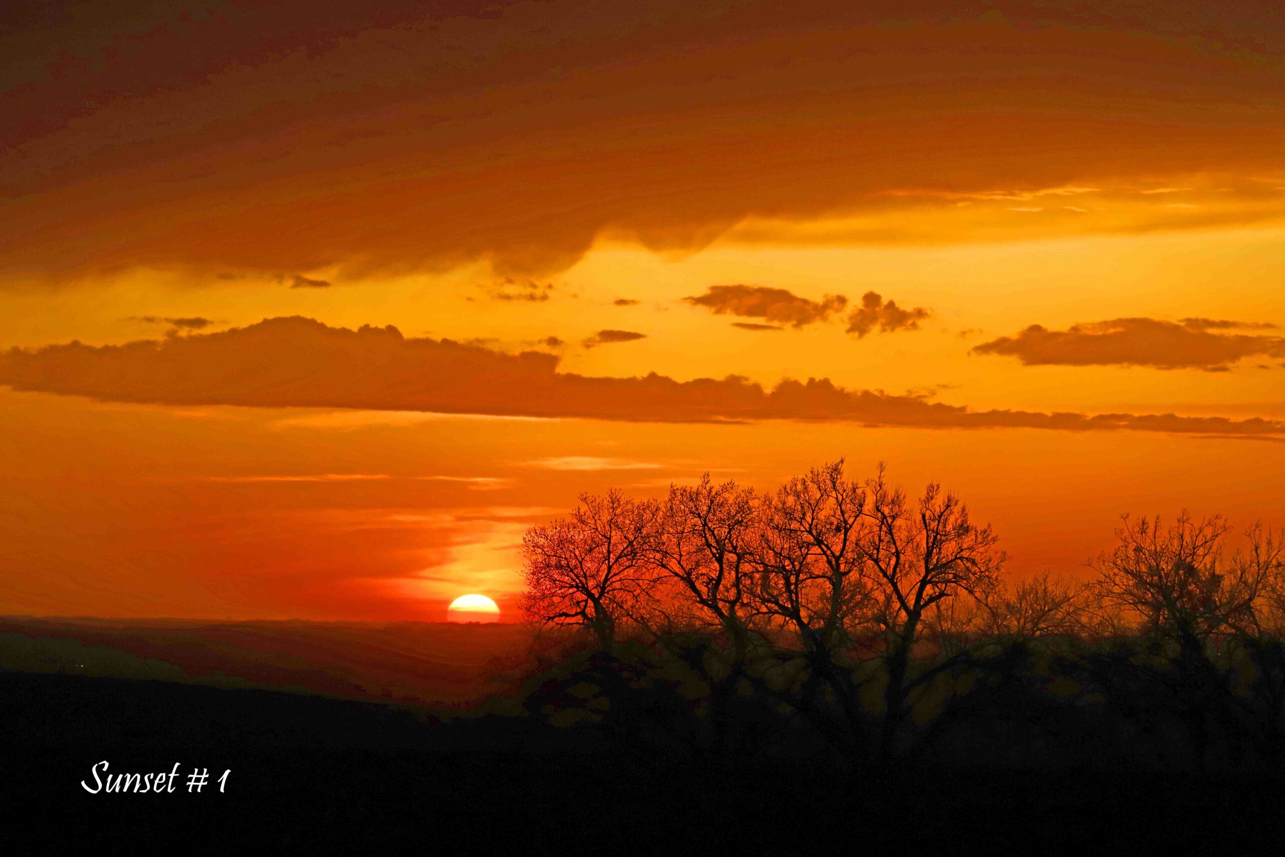 2022-04-28-IMG_9003-DLL-NE-PM-1-copy