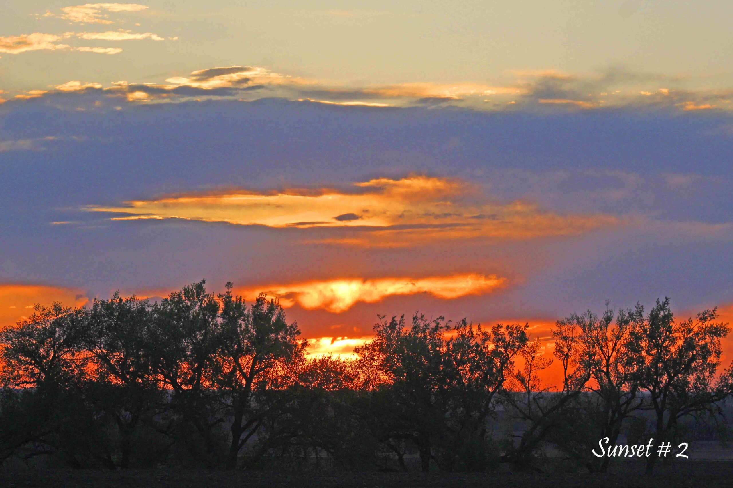 2022-05-13-_MG_7116-DLL-NE-PM-2-copy