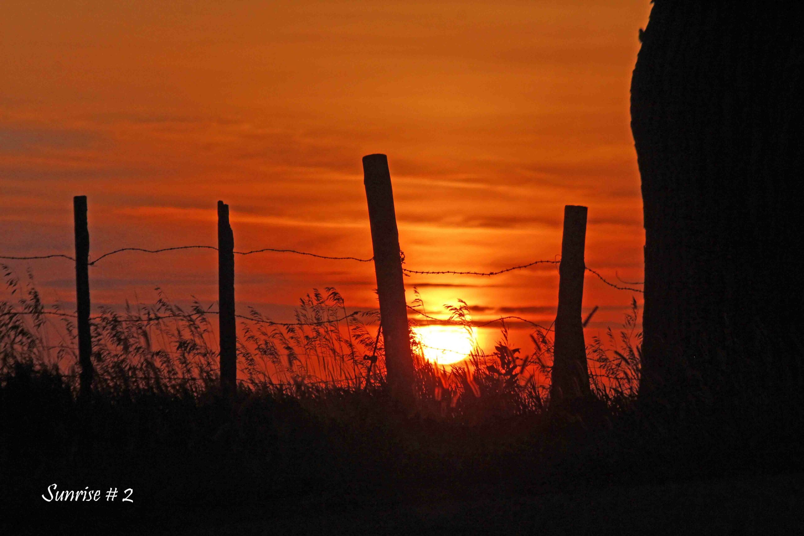 2022-08-12-_MG_0394-DLL-NE-AM-2-copy