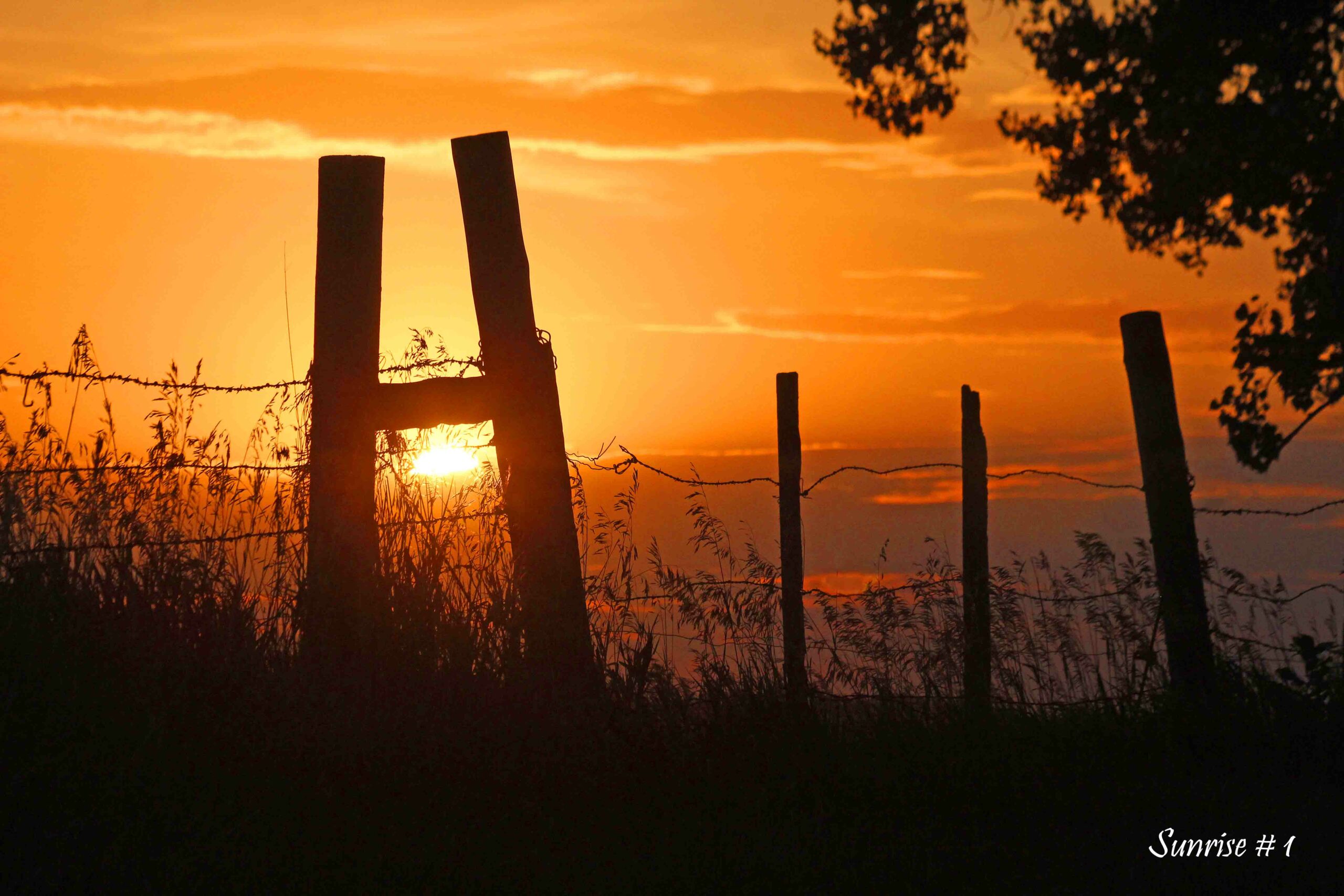 2022-08-13-_MG_0409-DLL-NE-AM-1-copy