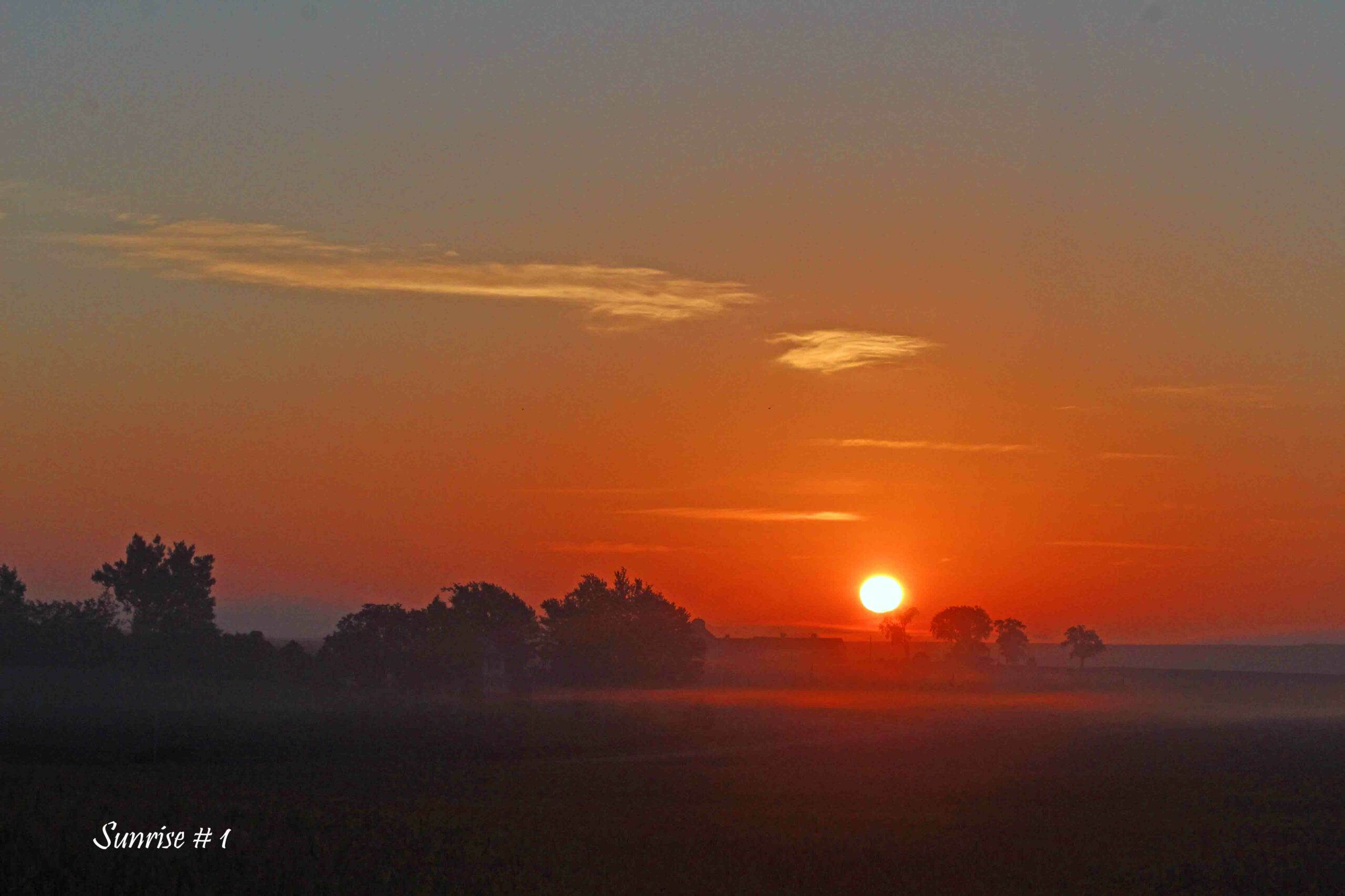 2022-08-14-_MG_0440-DLL-NE-AM-1-copy