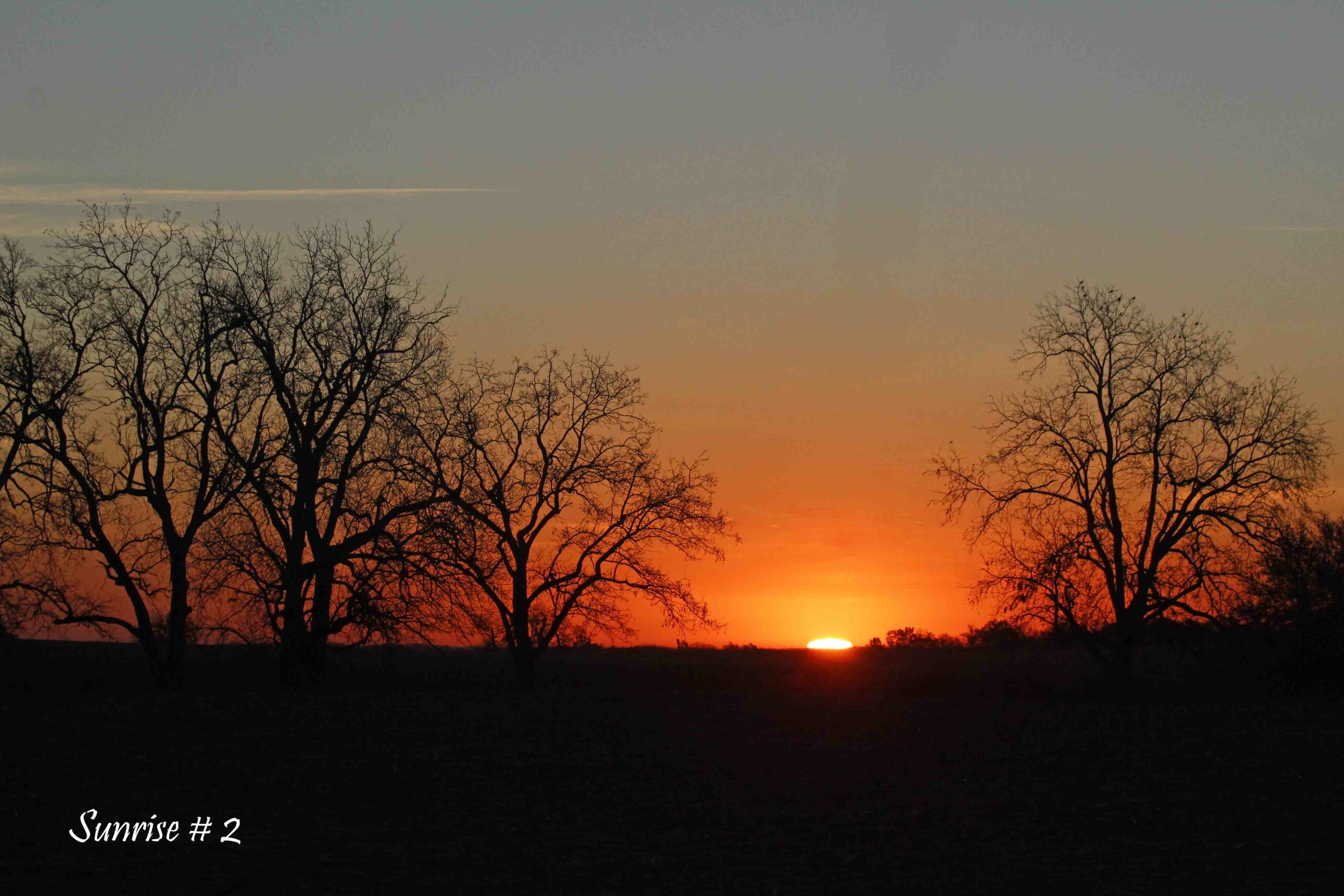 2022-11-01-_MG_1256-DLL-NE-AM-2-copy