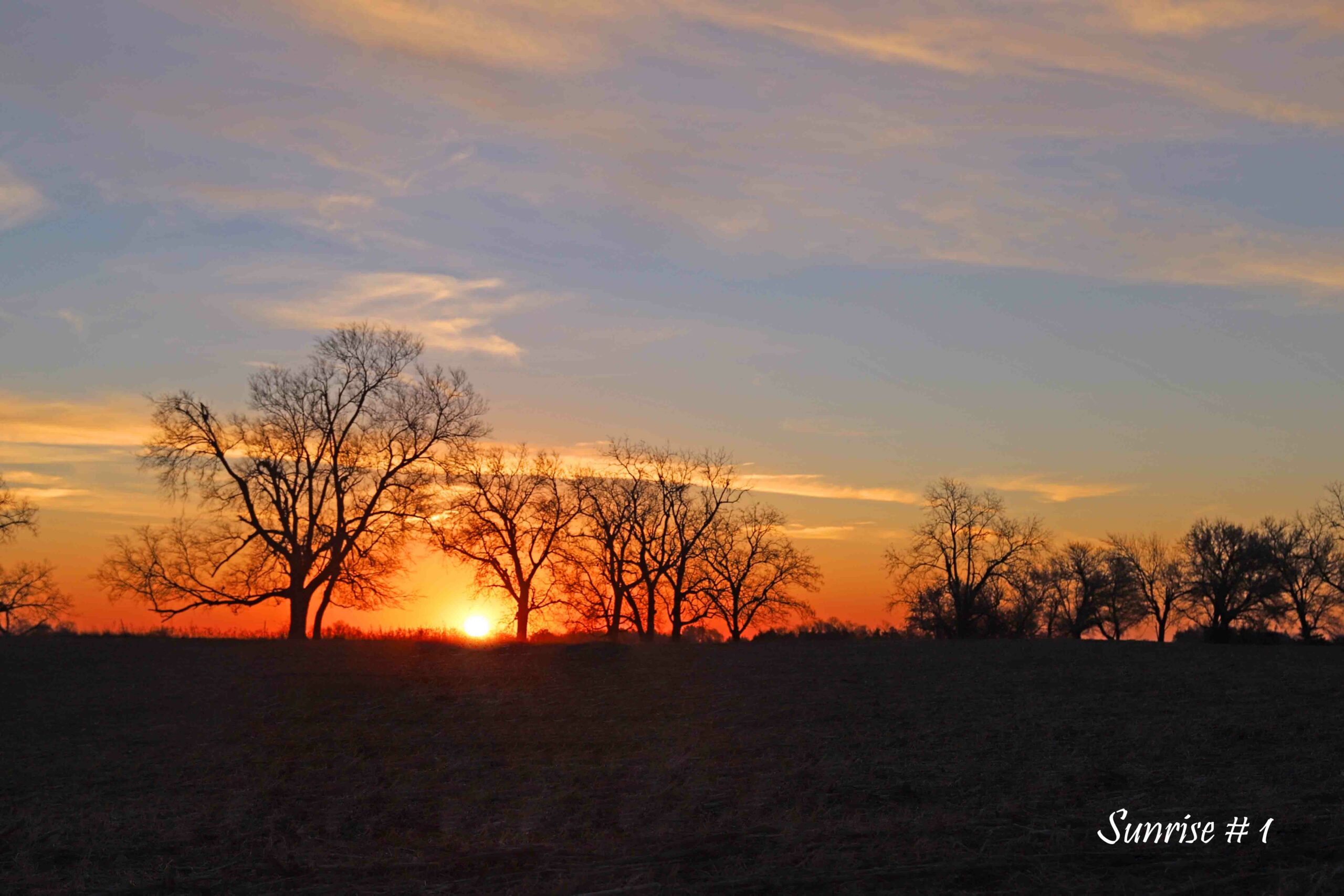 2022-11-02-IMG_1301-DLL-NE-AM-1-copy