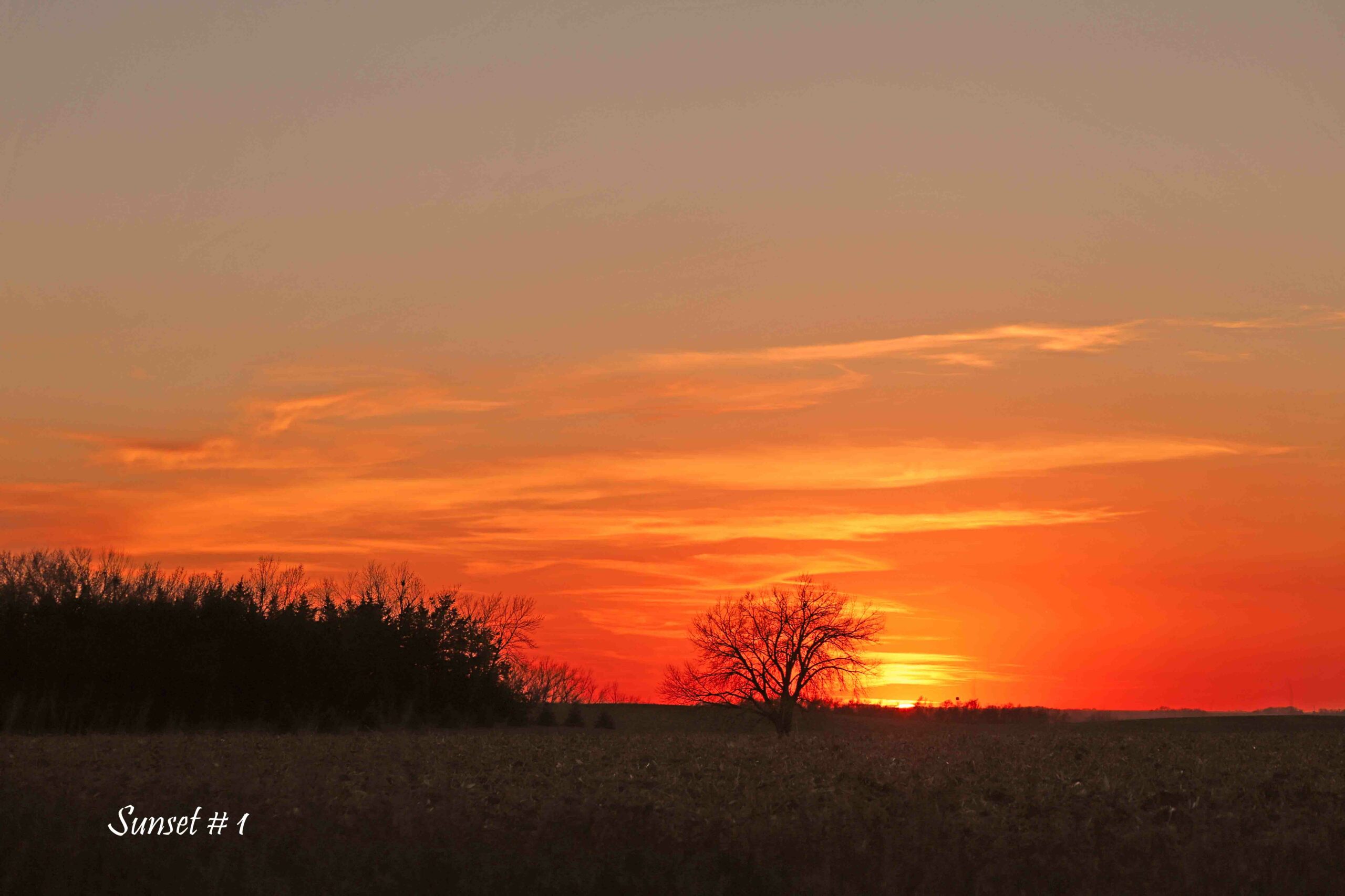 2022-11-07-IMG_1398-DLL-NE-PM-1-copy