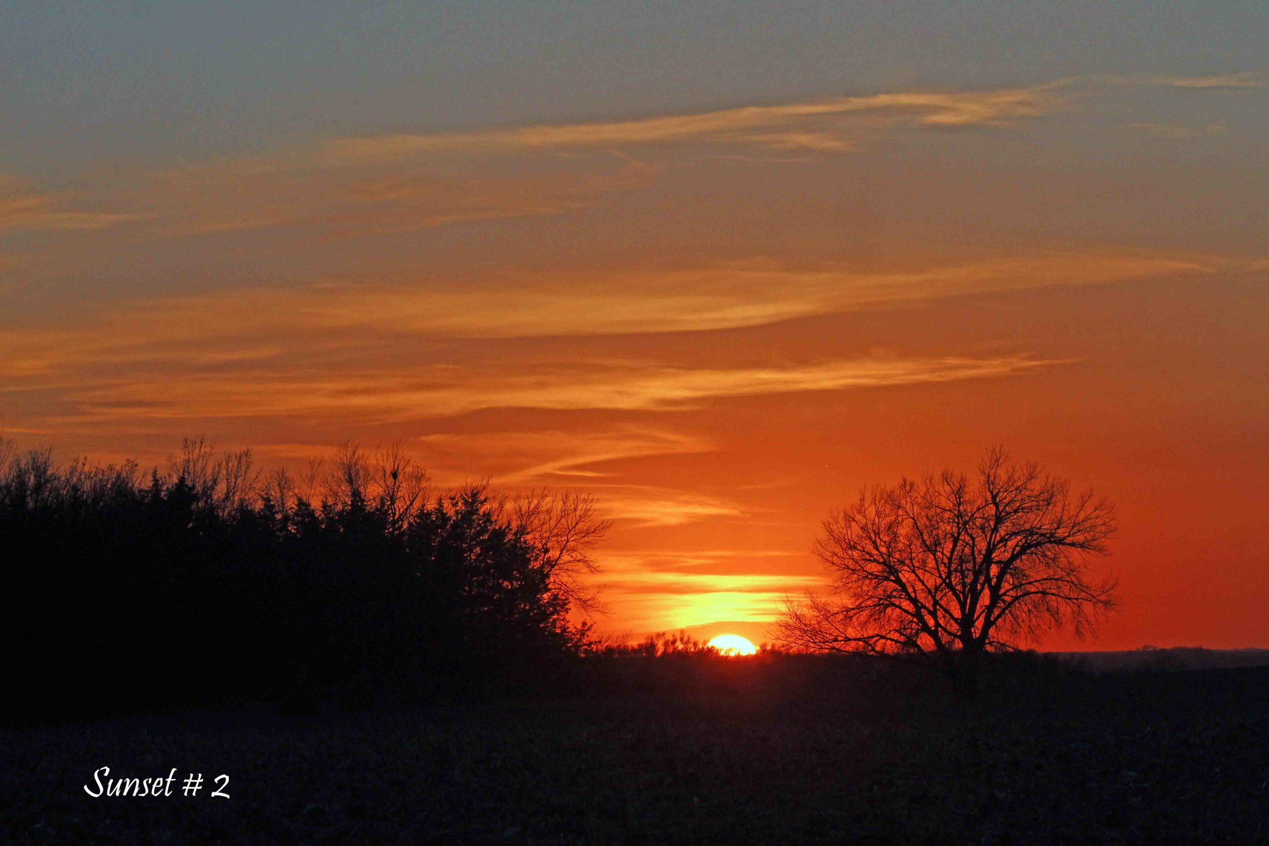 2022-11-07-_MG_1292-DLL-NE-PM-2-copy