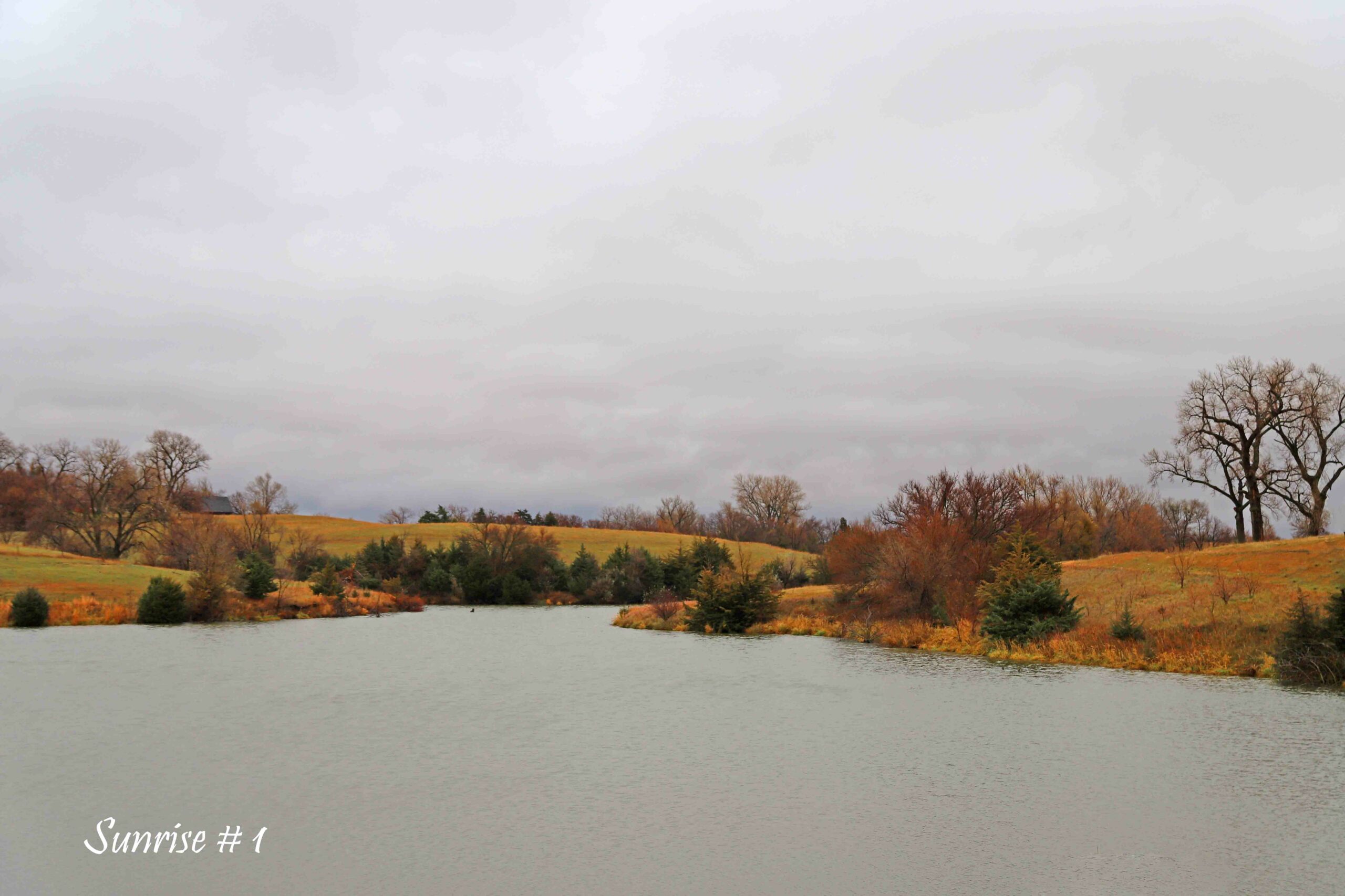 2022-11-10-IMG_1410-DLL-NE-AM-1-copy