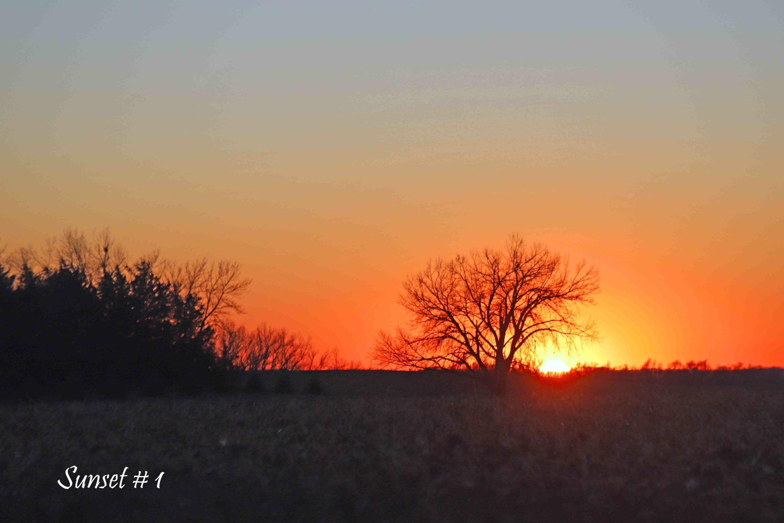 2022-11-10-IMG_1417-DLL-NE-PM-1-copy