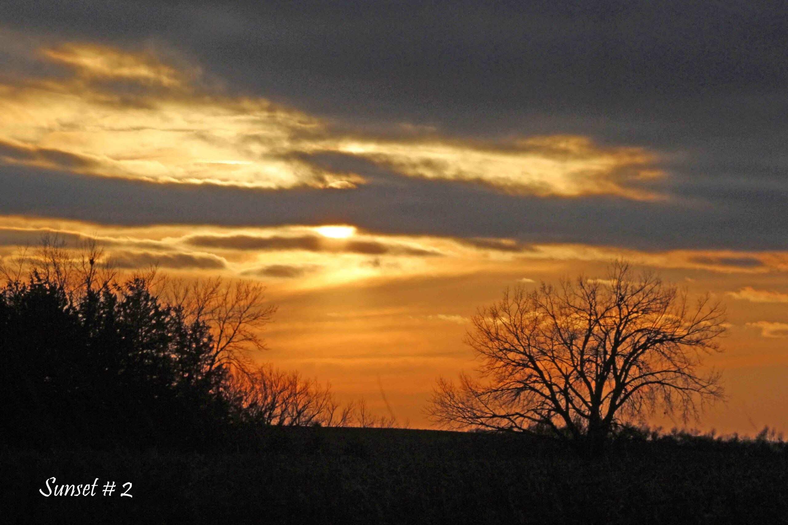 2022-11-11-_MG_1304-DLL-NE-PM-2-copy