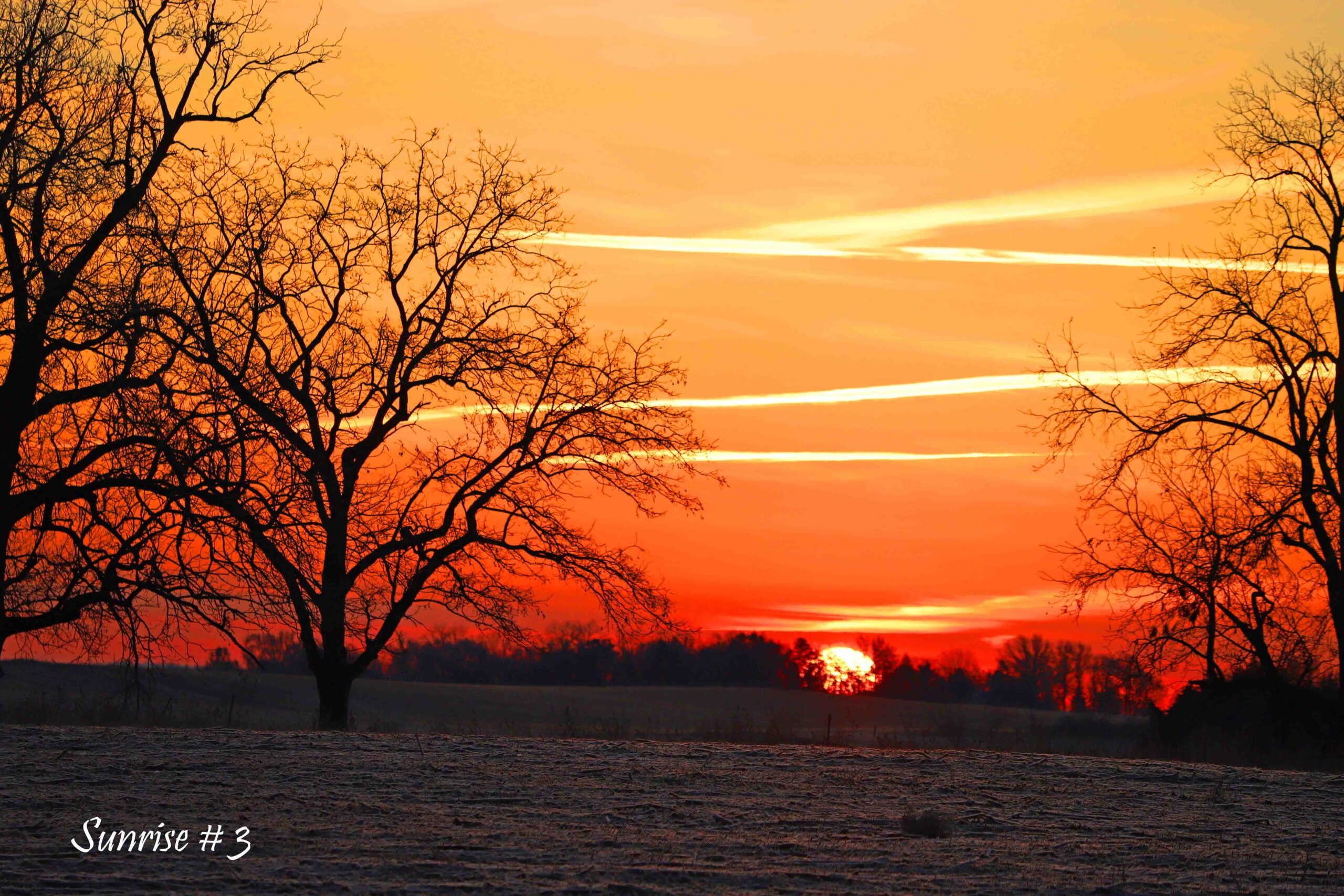 2022-11-13-IMG_1443-DLL-NE-AM-3-copy