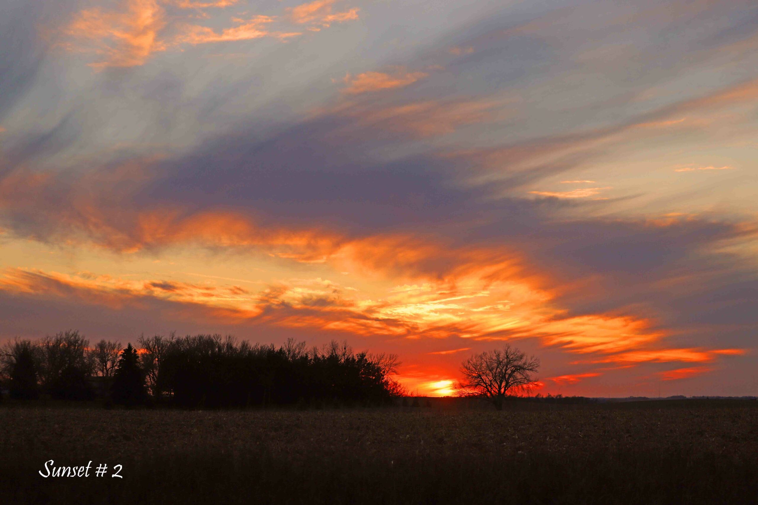 2022-11-13-IMG_1456-DLL-NE-PM-2-copy