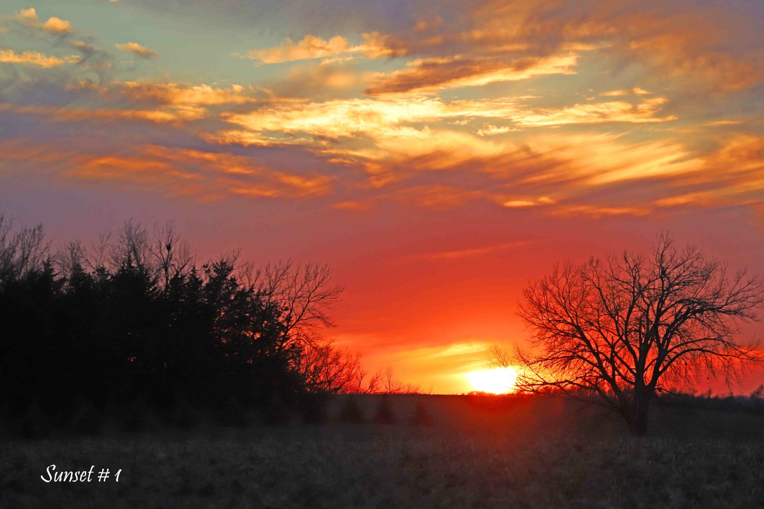 2022-11-13-IMG_1460-DLL-NE-PM-1-copy