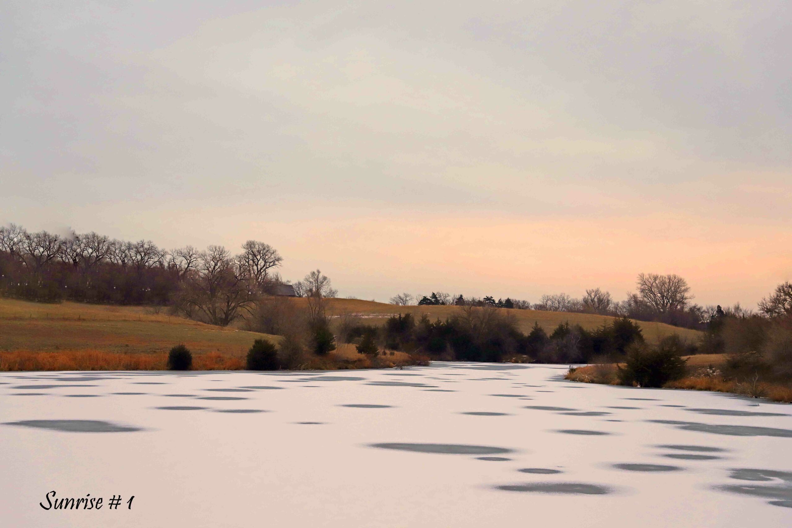 2022-11-15-IMG_1484-DLL-NE-AM-1-copy