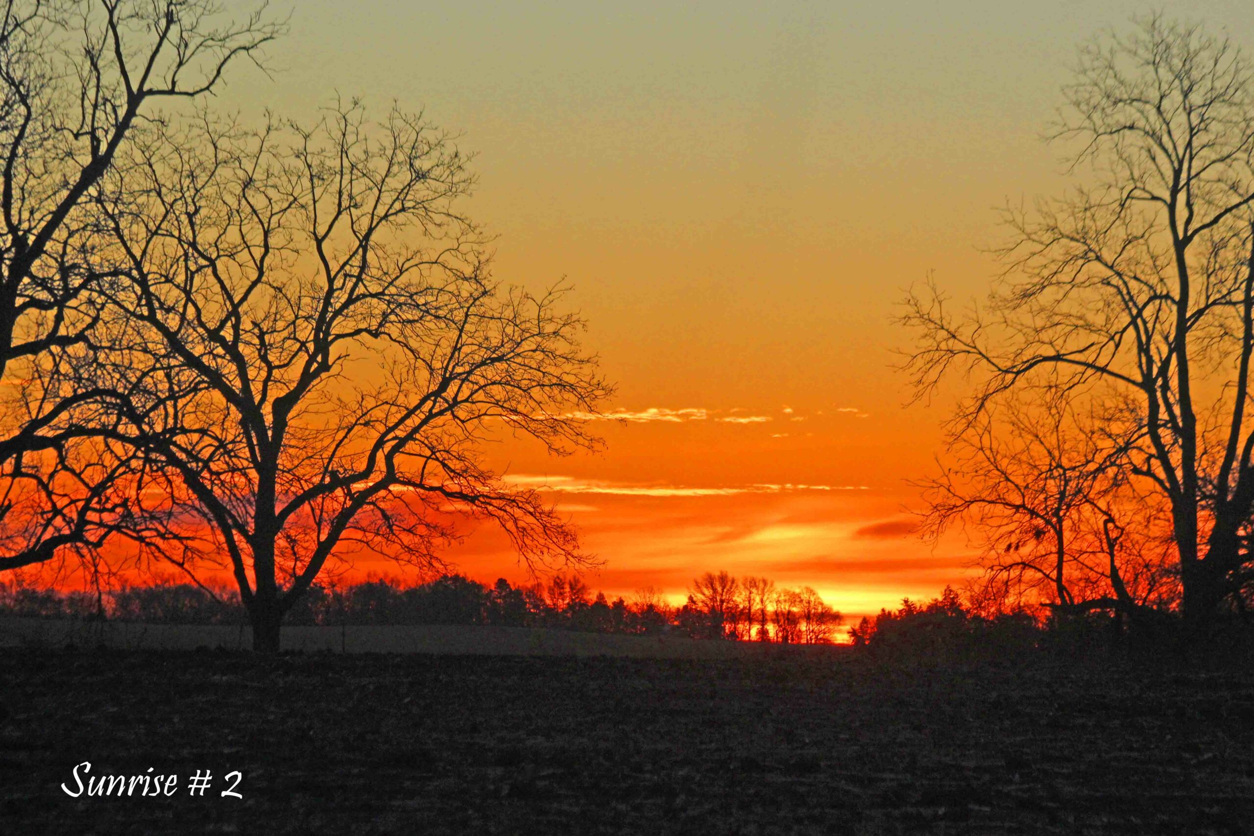 2022-11-21-_MG_1350-DLL-NE-AM-2-copy