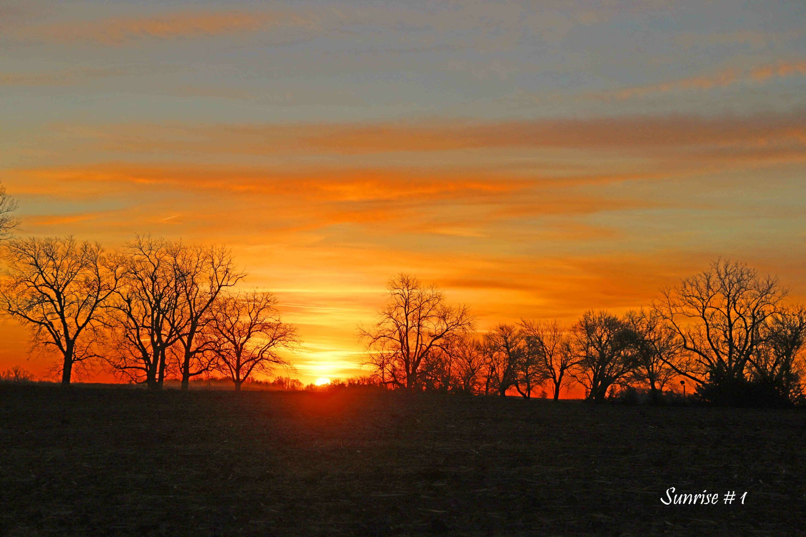 2022-11-22-IMG_1548-DLL-NE-AM-1-copy